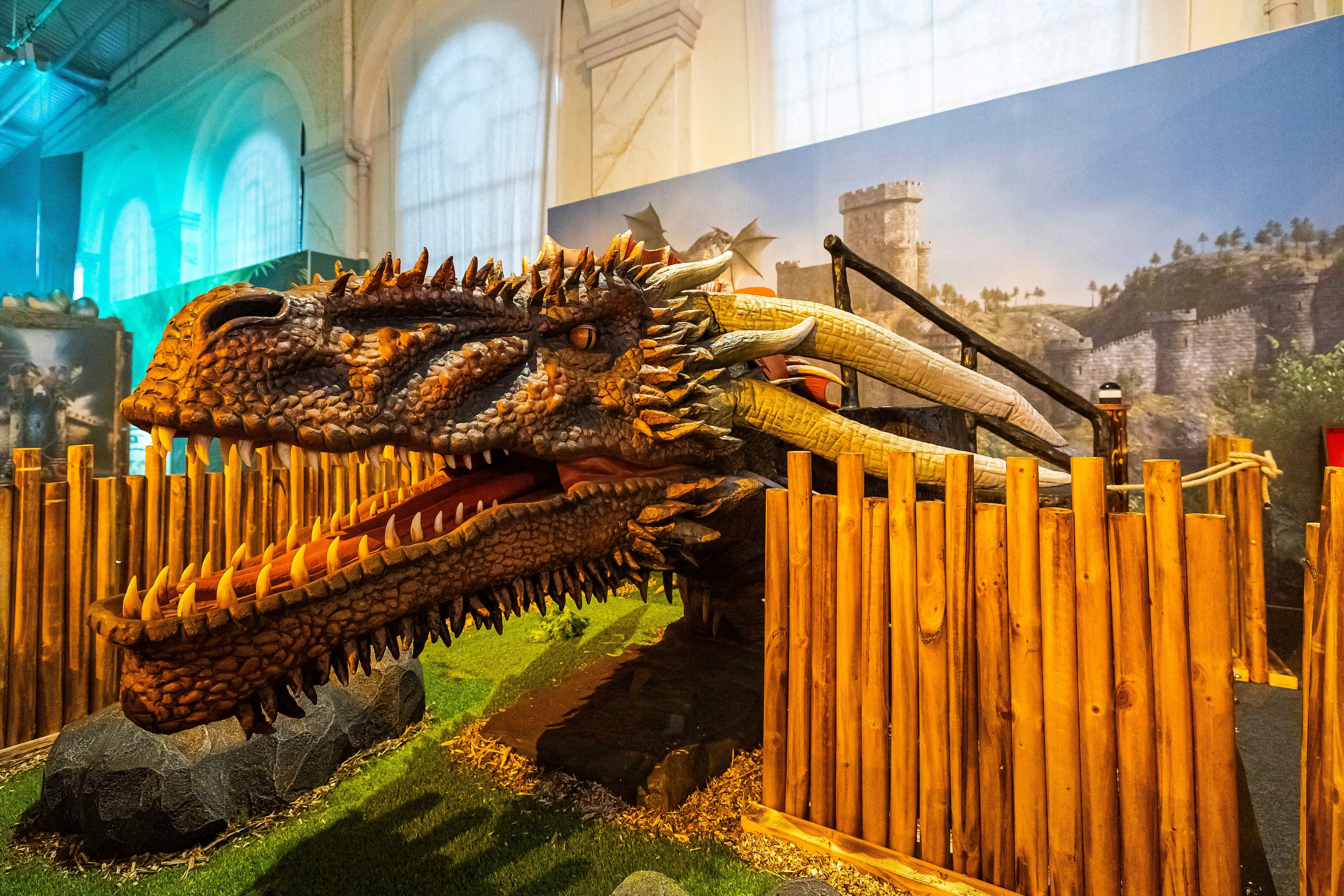 Die Drachen-Erlebnisausstellung nimmt Kinder und Familien mit in eine Welt voller Legenden, Rätsel und Abenteuer.