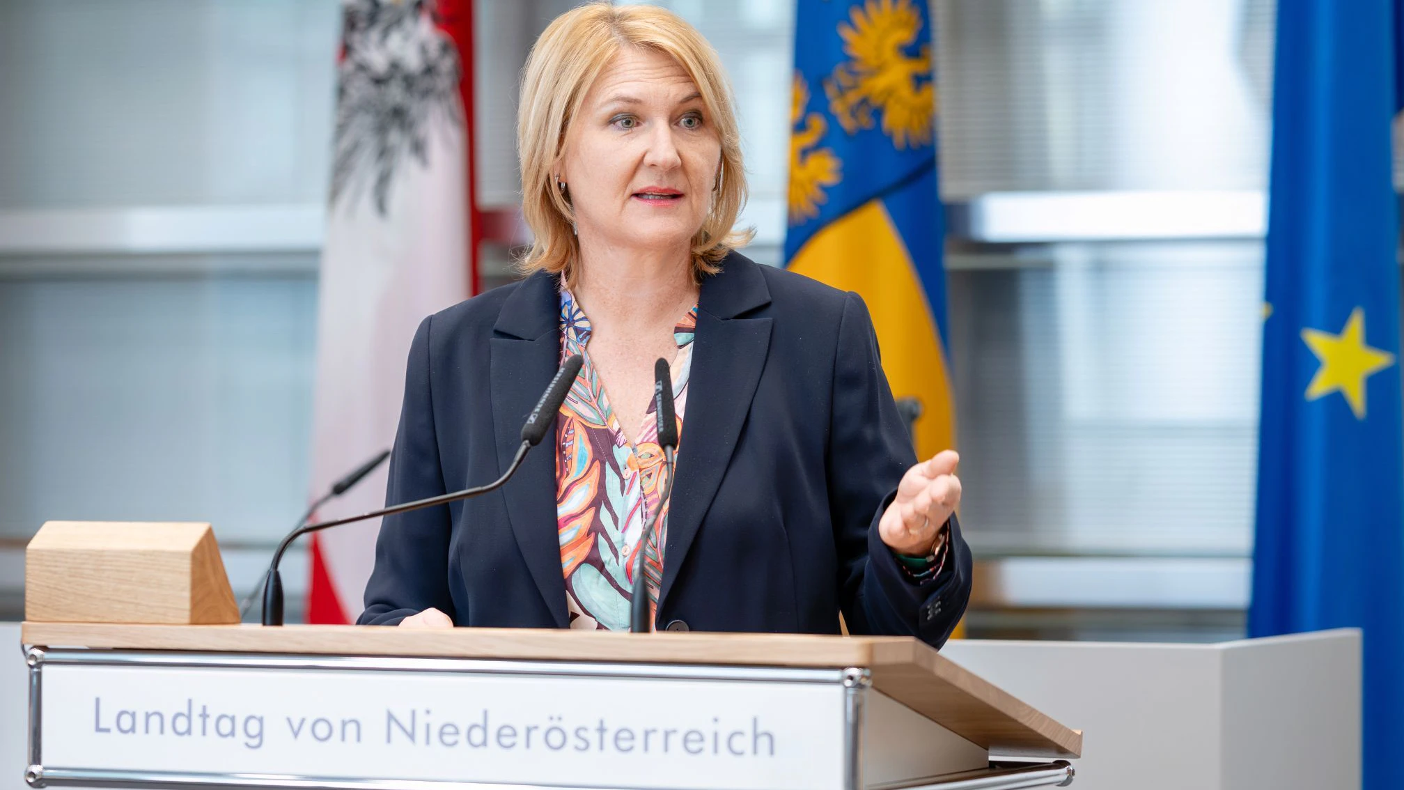 Helga Krismer im NÖ Landtag