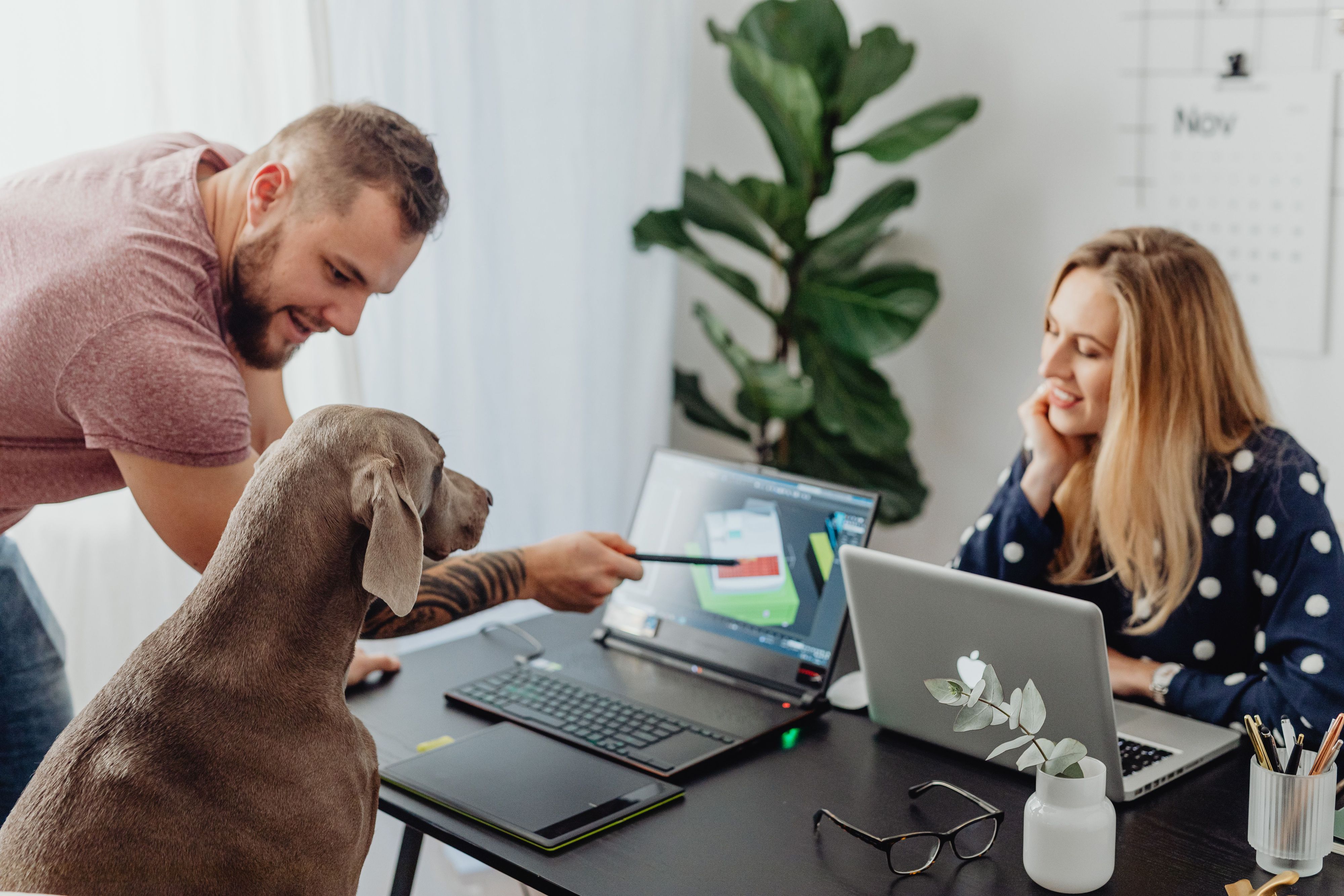Hund im Büro? Na, sowieso!