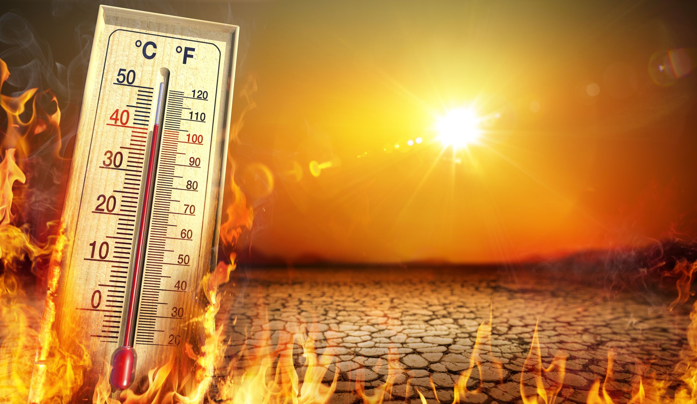 Heute.at - Bauernregel – es sieht nach 7 Wochen Hochsommer aus