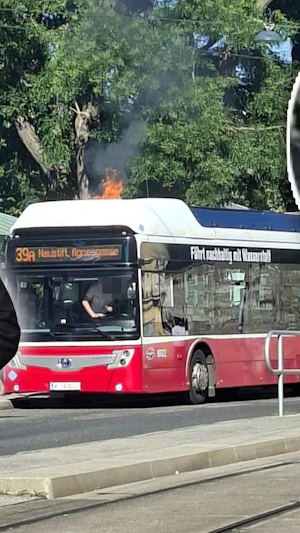 Wasserstoffbus-Brand in Wien: FPÖ kritisiert Sicherheitsrisiko und fordert Rücktritt von Stadträtin Sima nach Warnungen und Ausfällen.