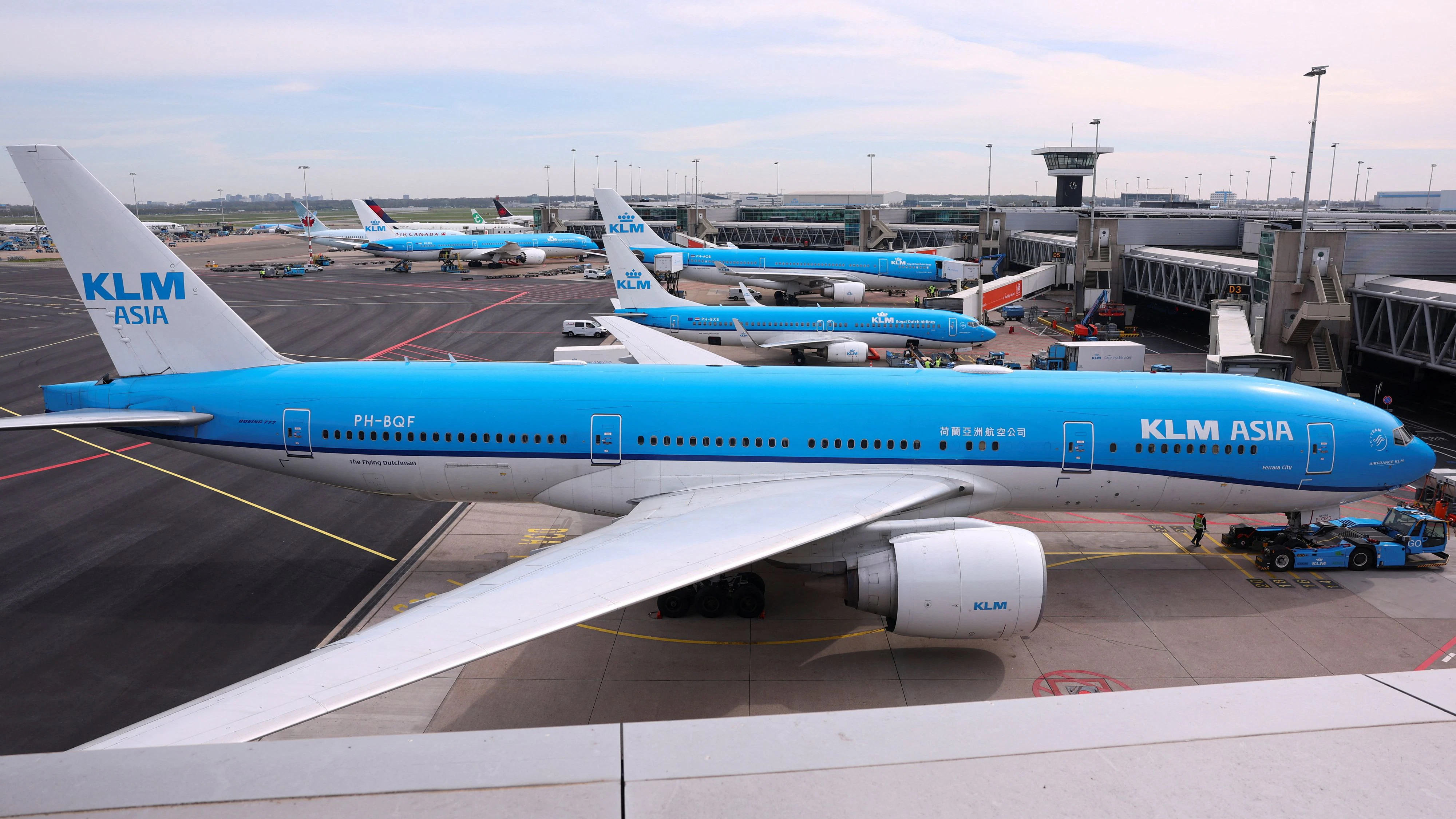Heute.at - Gestank durch Schweine zwingt Flugzeug zur Landung