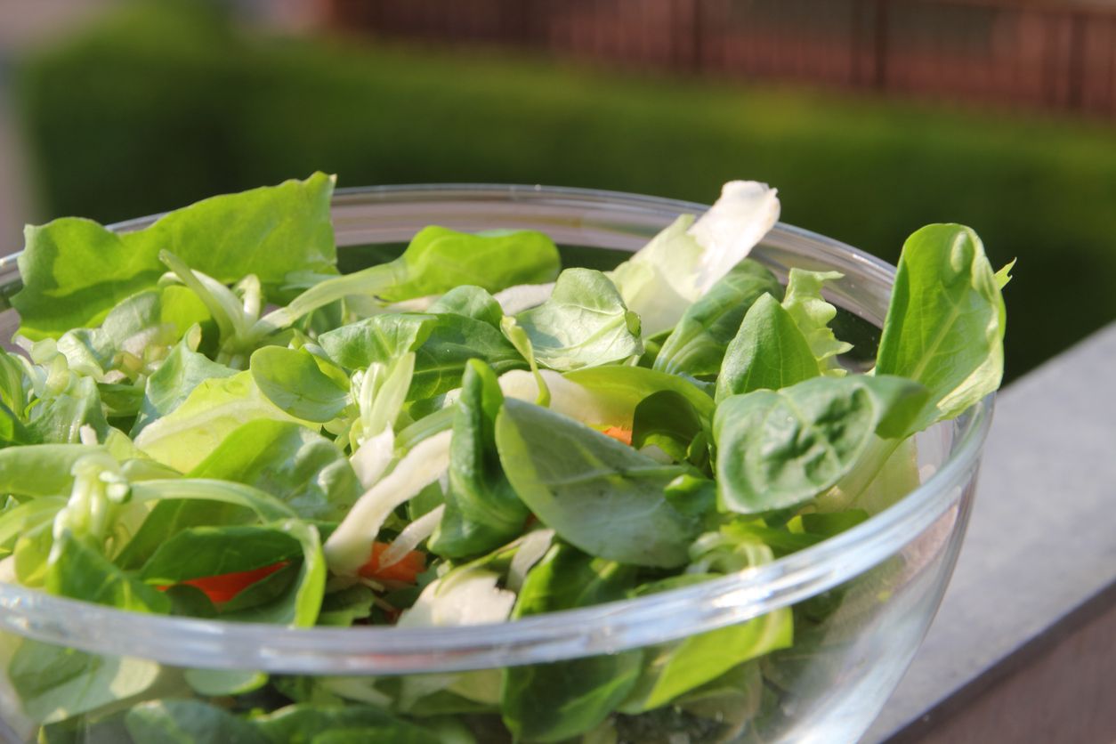 Salate bestehen größtenteils aus Wasser.