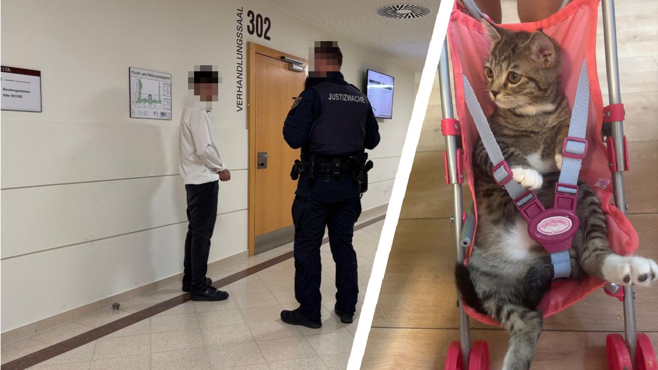 Kätzchen Olaf (r.) wurde vom Angeklagten zu Tode gequält – der Mann kündigte an, nun selbst Tiere zu schützen.