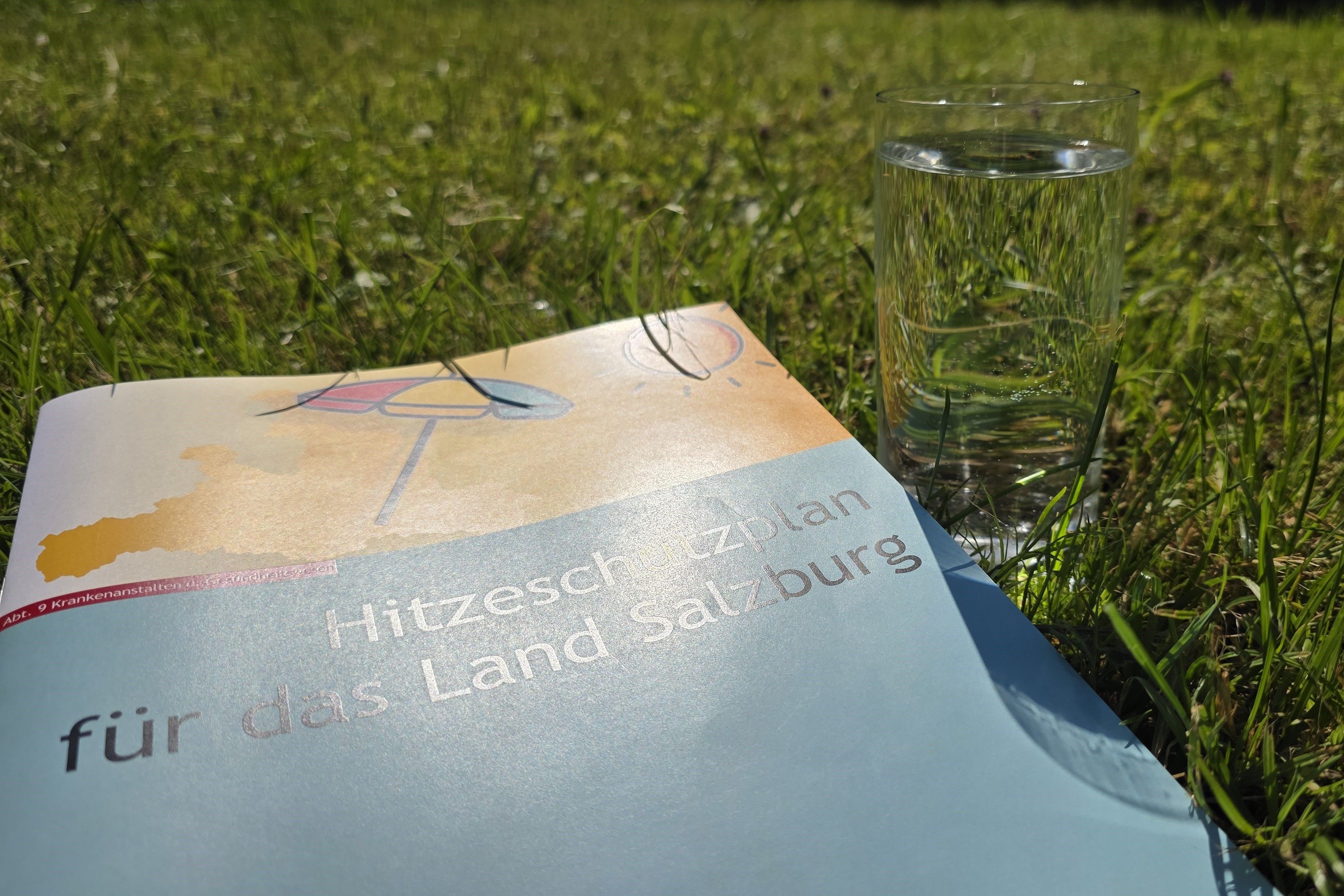 Heute.at - Hitze-Alarm – Land trifft nie dagewesene Maßnahme