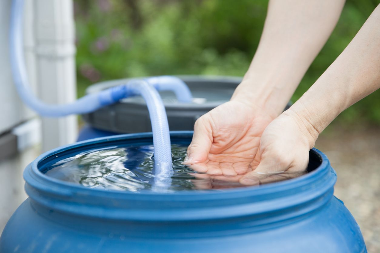 Wegen der Hitzewelle rufen erste Regionen den Wassernotstand aus.
