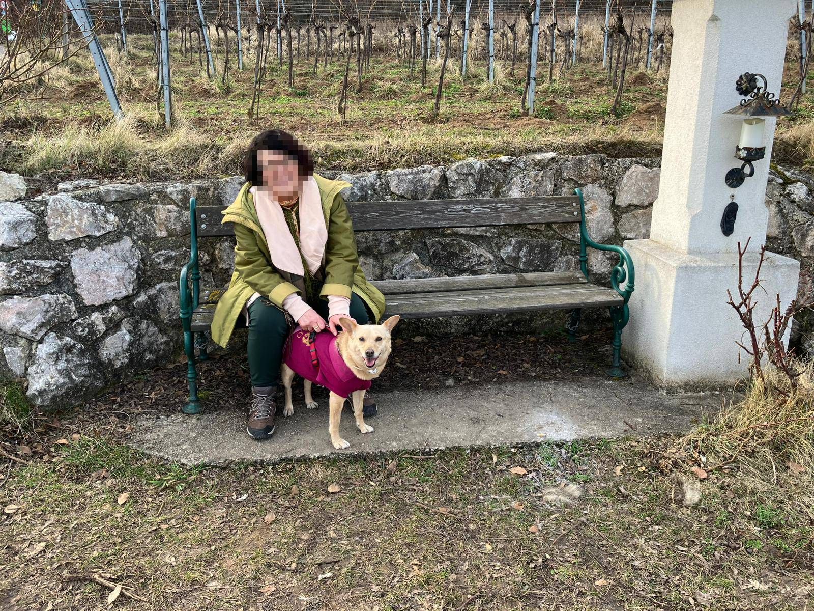 Susanne S. und ihr Hund Tamari müssen nun viele Auflagen erfüllen.