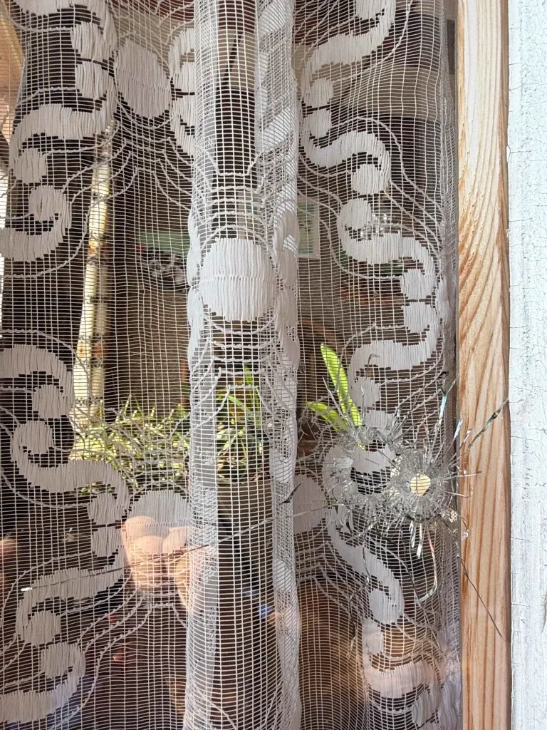 Eine Landwirtin in der Schweiz schoss mit einem Gewehr auf eine Krähe – und traf stattdessen das Fenster eines Nachbarhauses.