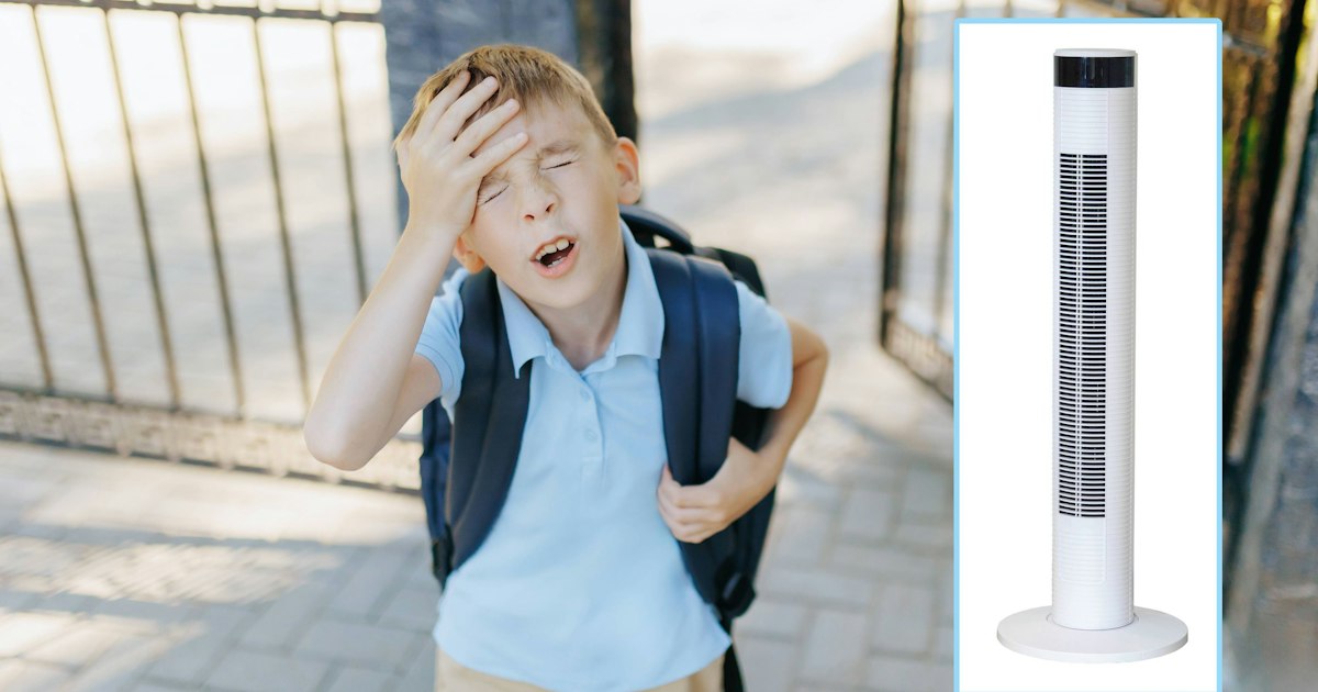 Trotz Rekord-Hitze – Ventilatoren-Verbot an Schulen | Heute.at