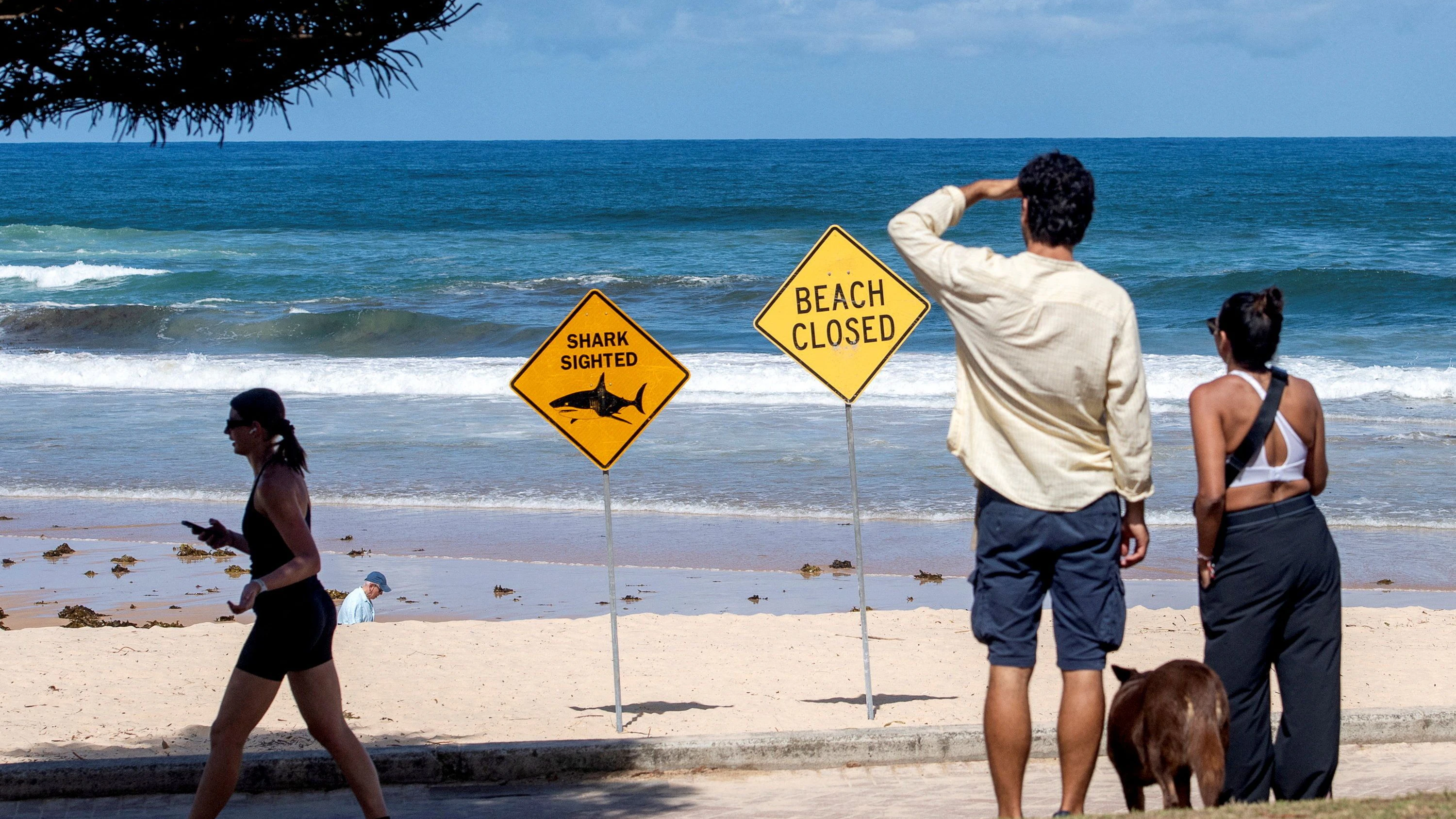 Beachgoers at Queenscliff Beach walk past warning signs, with beaches closed after recent shark attacks in Sydney, Australia, January 20, 2026. REUTERS/Jeremy Piper, Australia, January 20, 2026. REUTERS/Jeremy Piper