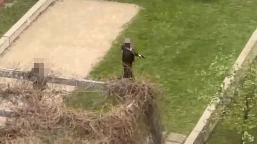 Video schockiert: Teenie schießt in Favoriten aus Waffe