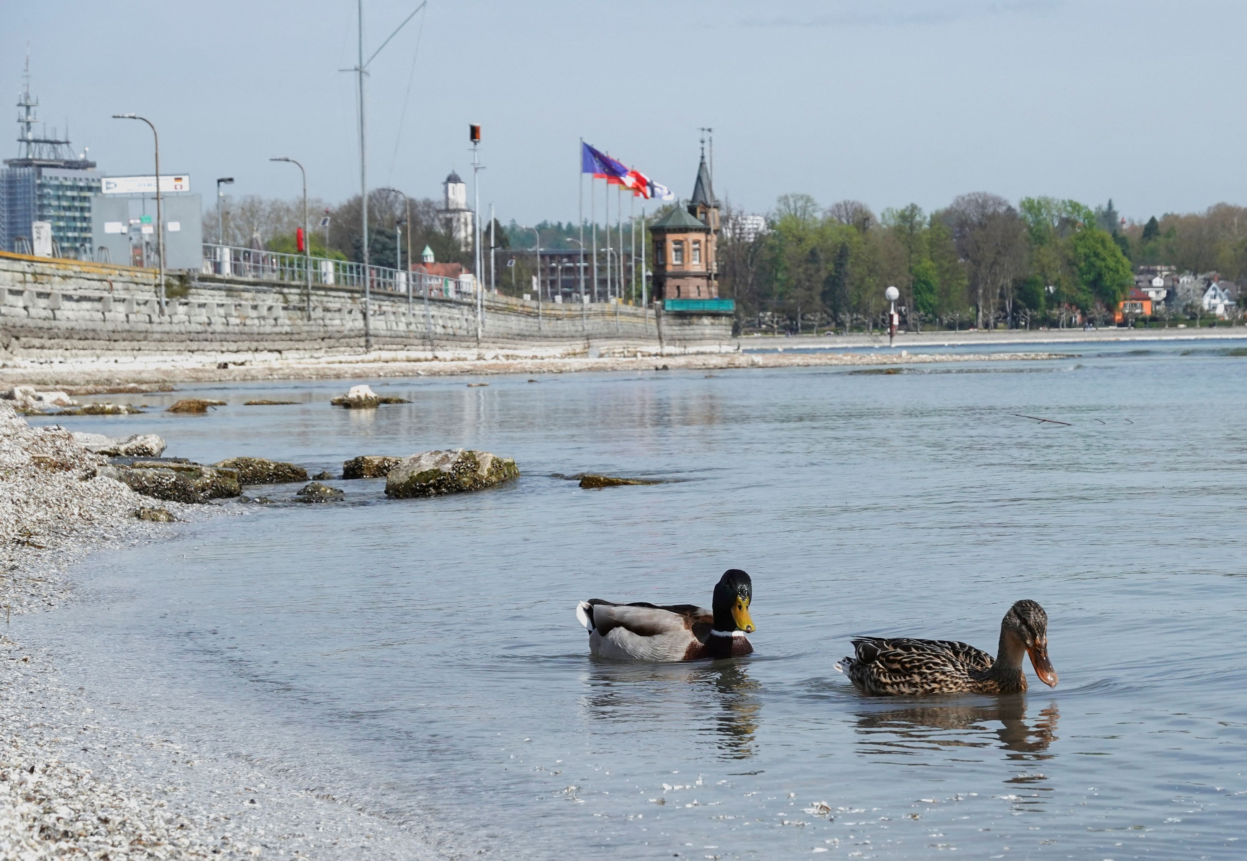 Männer im Bodensee vermisst