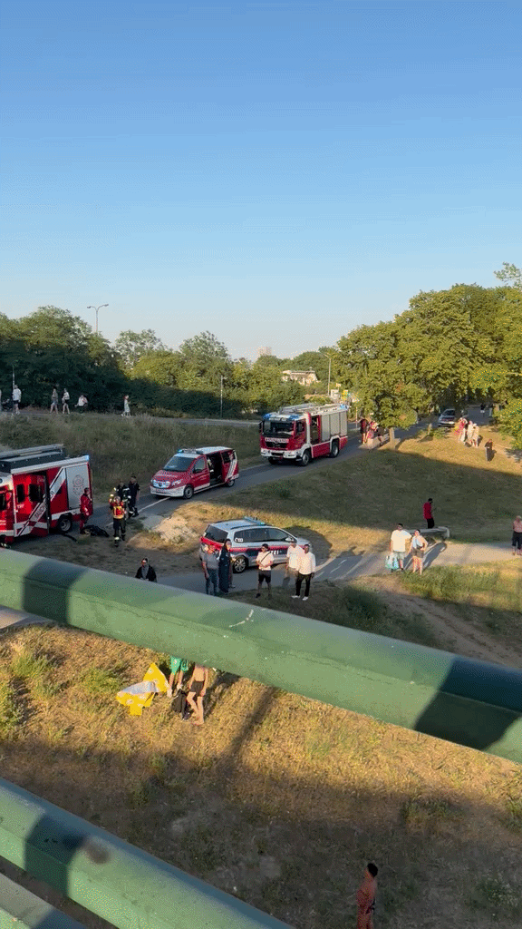 Großeinsatz auf der Wiener Donauinsel am Freitag! Eine Person ging unter, Einsatzkräfte zogen sie aus dem Wasser und starteten eine Reanimation.