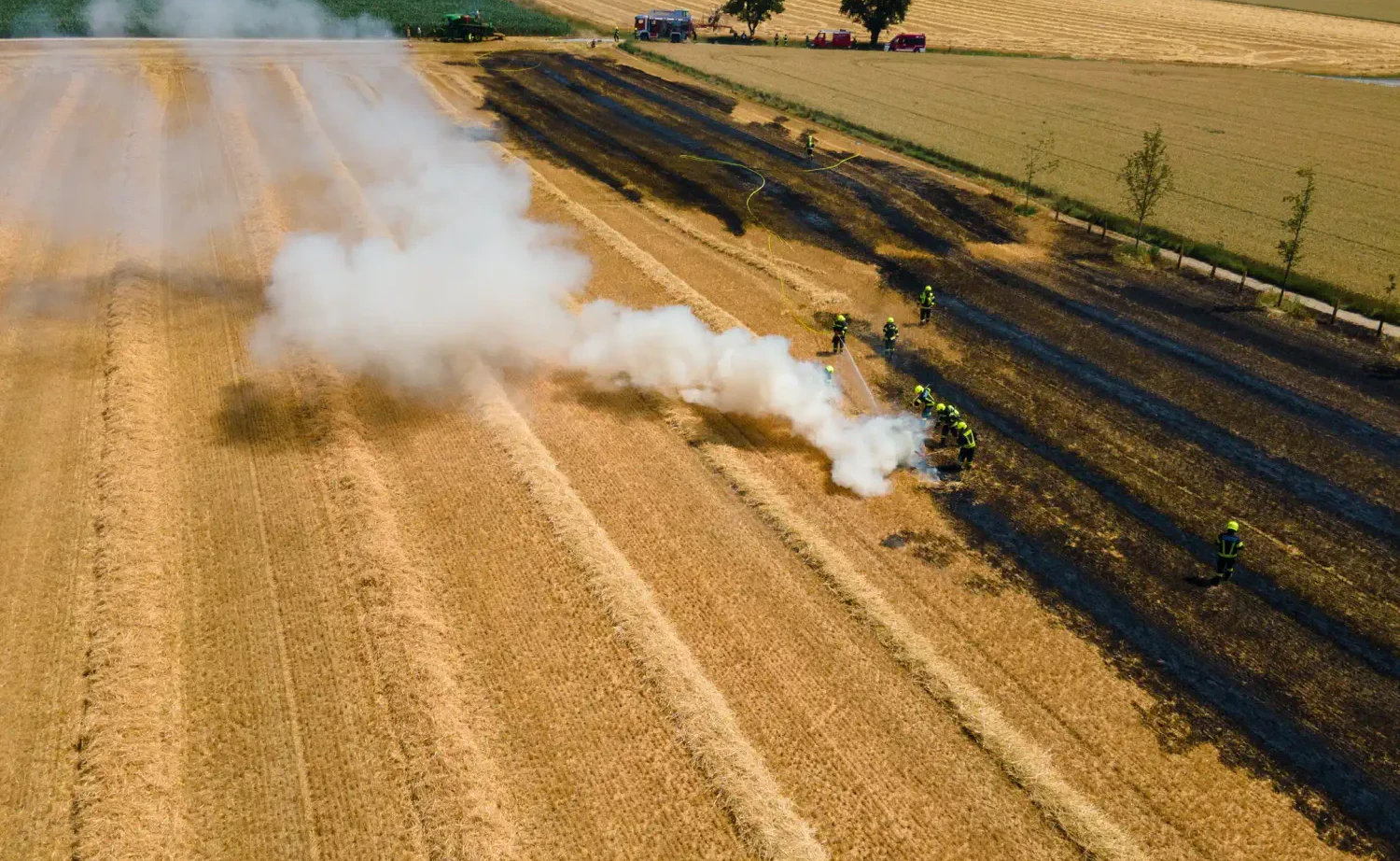 Heute.at - Brandgefährliche Trockenheit – 2.000 m² Feld in Flammen