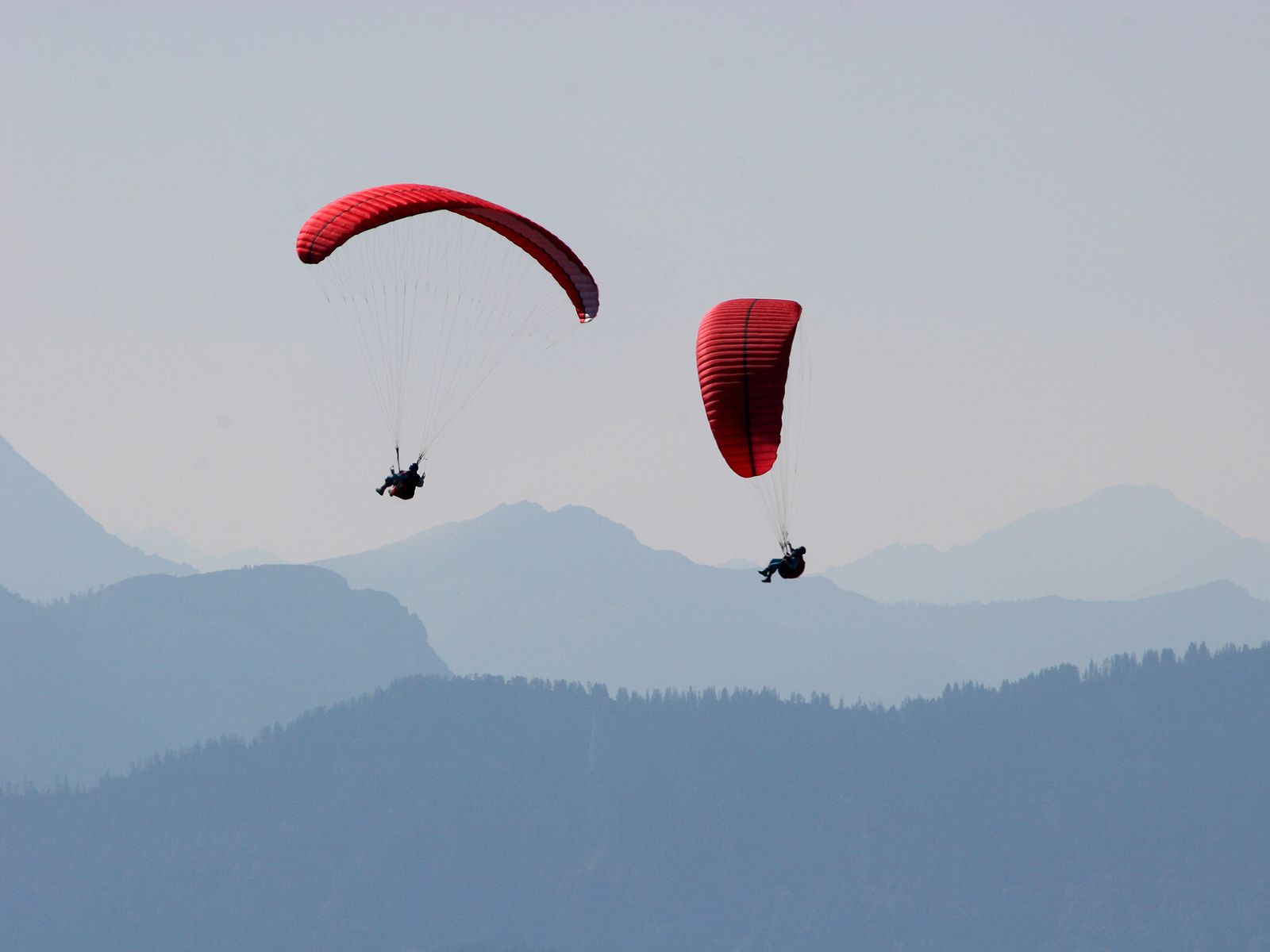 Der Paragleiter wurde schwer verletzt (Symbolbild).