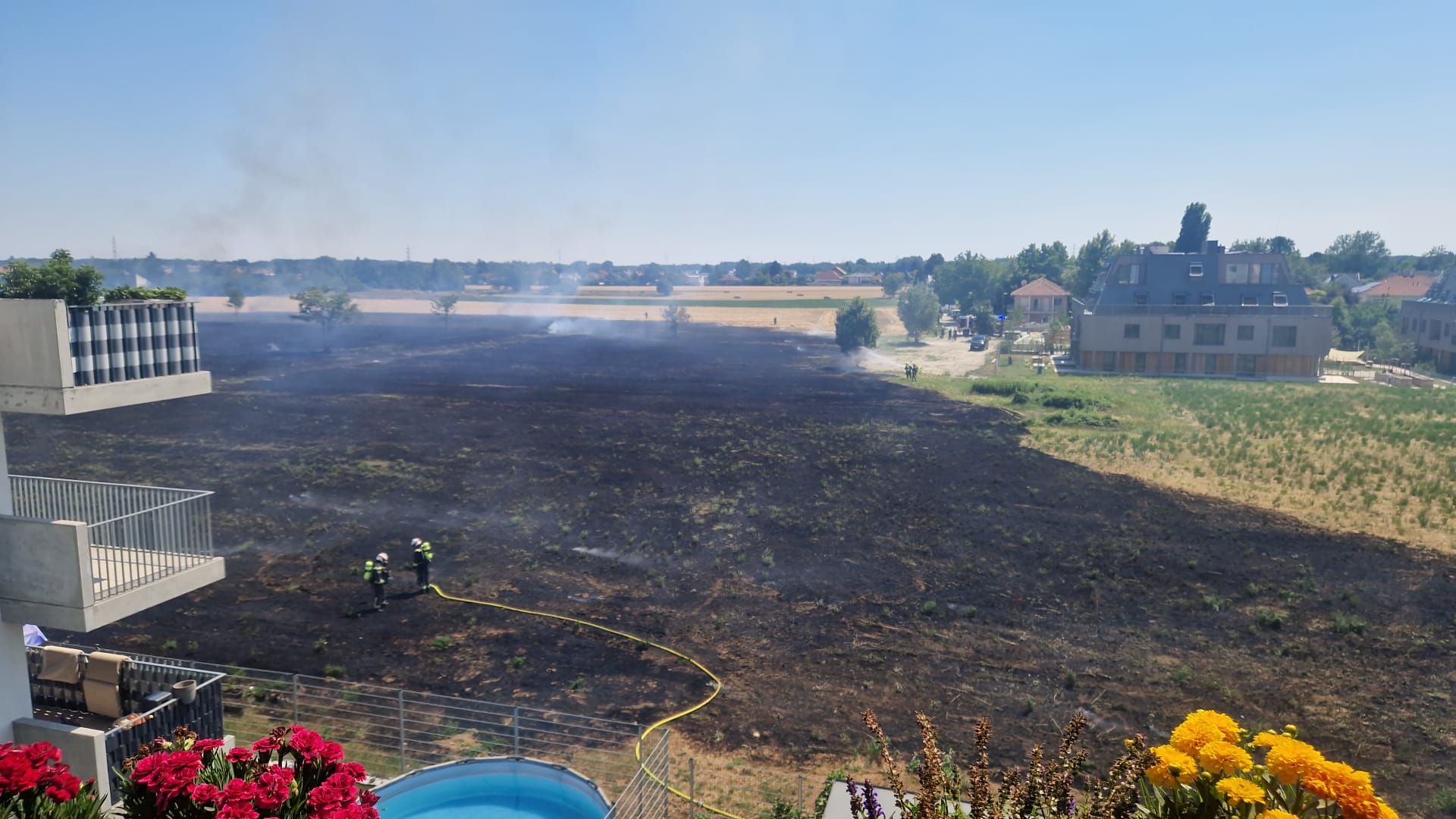 Heute.at - Feld brennt plötzlich lichterloh, Wohnbauten in Gefahr