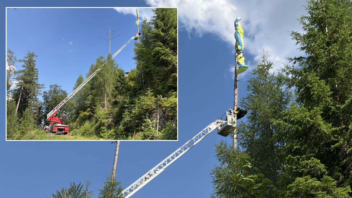 Ausgerechnet im höchsten Baum verfing sich der Paragleiter.