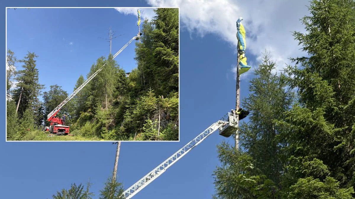 Ausgerechnet im höchsten Baum verfing sich der Paragleiter.