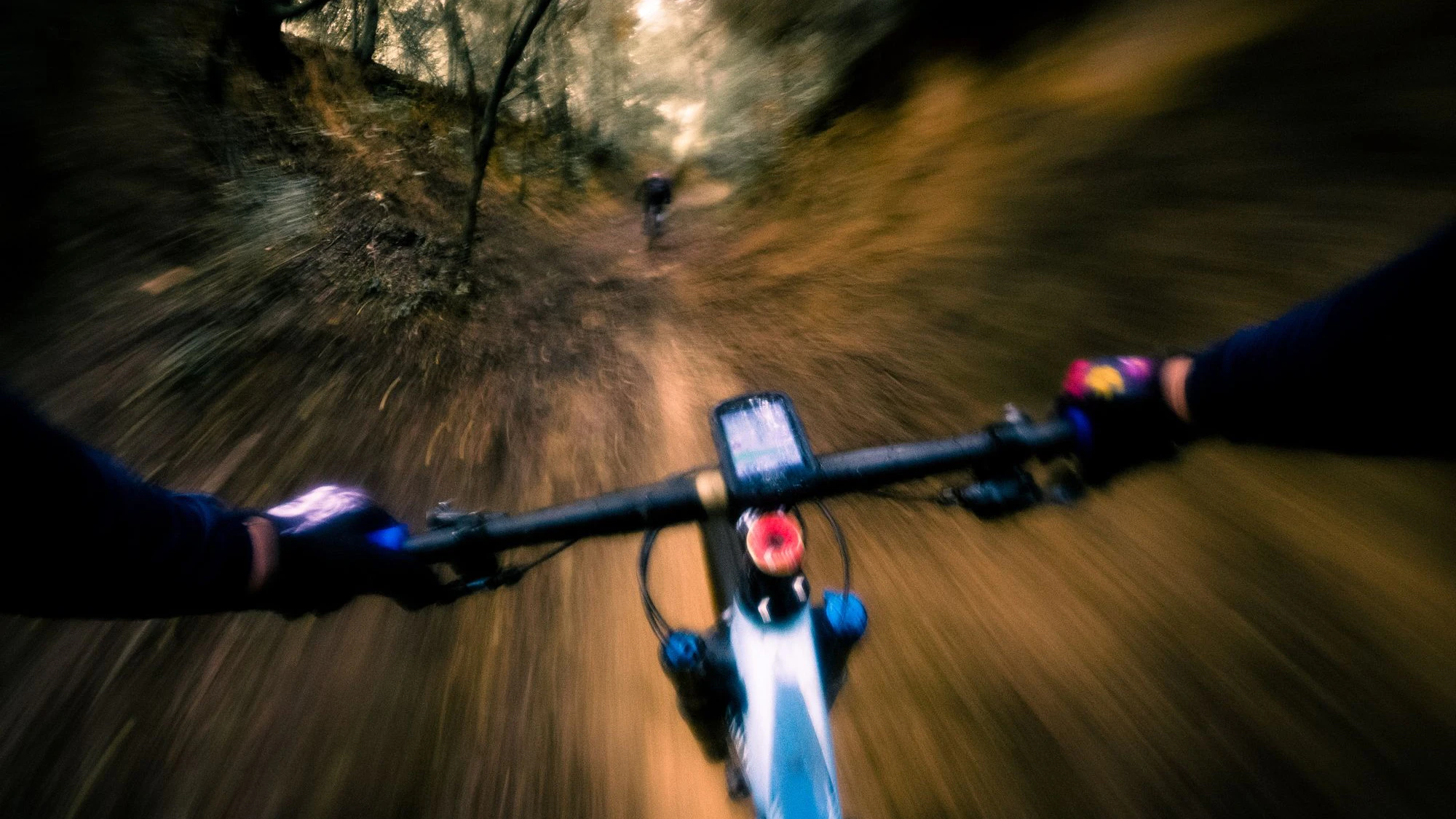 Riding fast a mountain bike on a trail with speed motion blur rider point of view