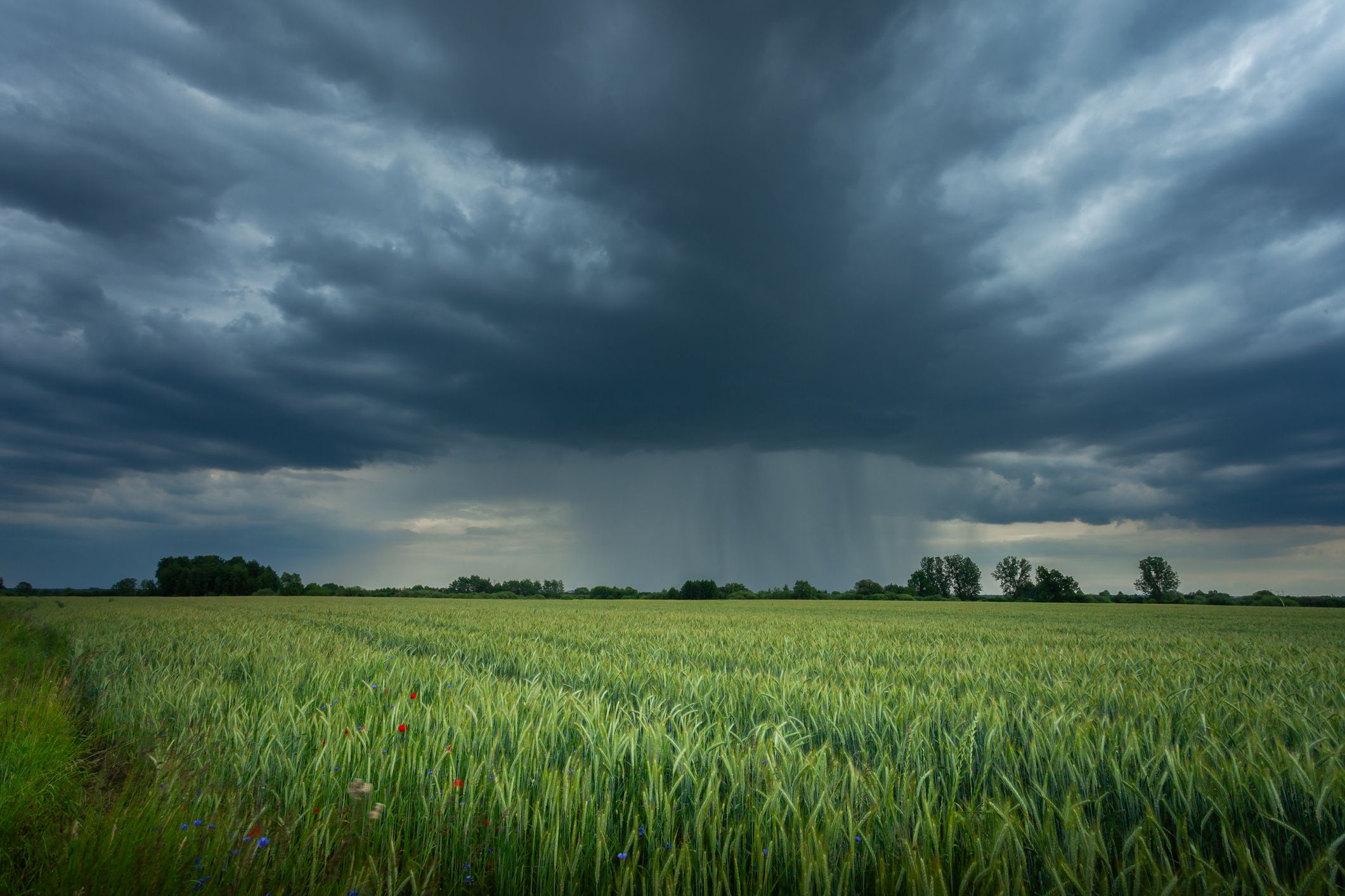 Heute.at - Entscheidender Tag! Kommt jetzt der große Regen?