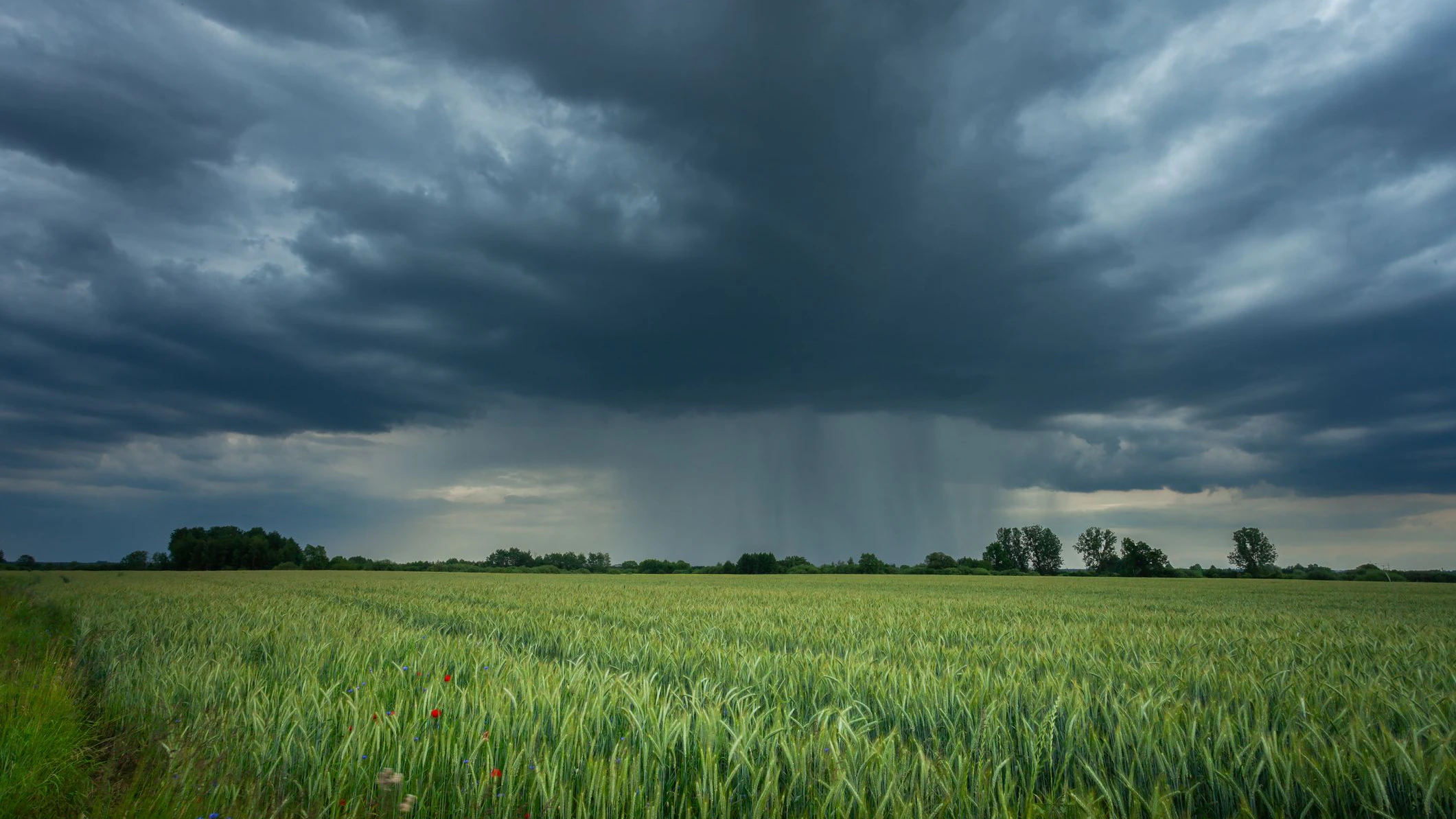 Heute.at - Entscheidender Tag! Kommt jetzt der große Regen?