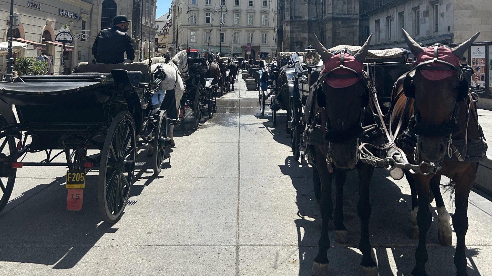 Mitten in der prallen Sonne müssen die Fiaker im Konvoi am Stephansplatz auf Touristen warten. 