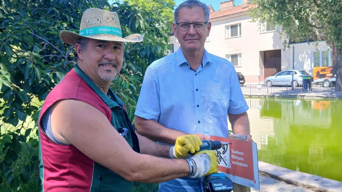 Bezirkschef Georg Papai: Absolutes Fütterungsverbot für Tauben in Floridsdorfer Park. 