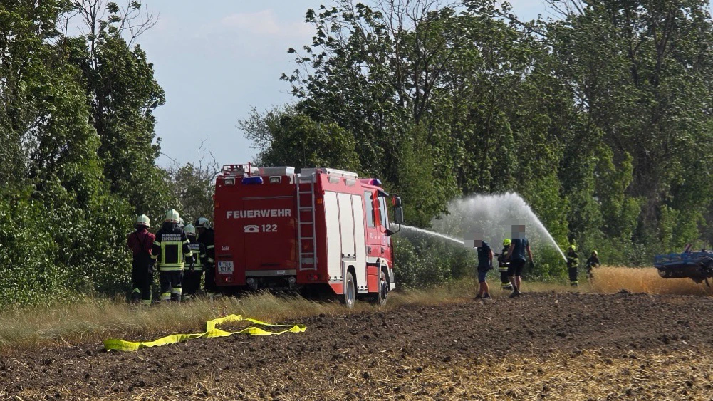 Auf einem Feld in Dürnrohr brach am Montag, 29. Juni, ein Brand aus, der sich innerhalb kurzer Zeit weiter ausbreitete.