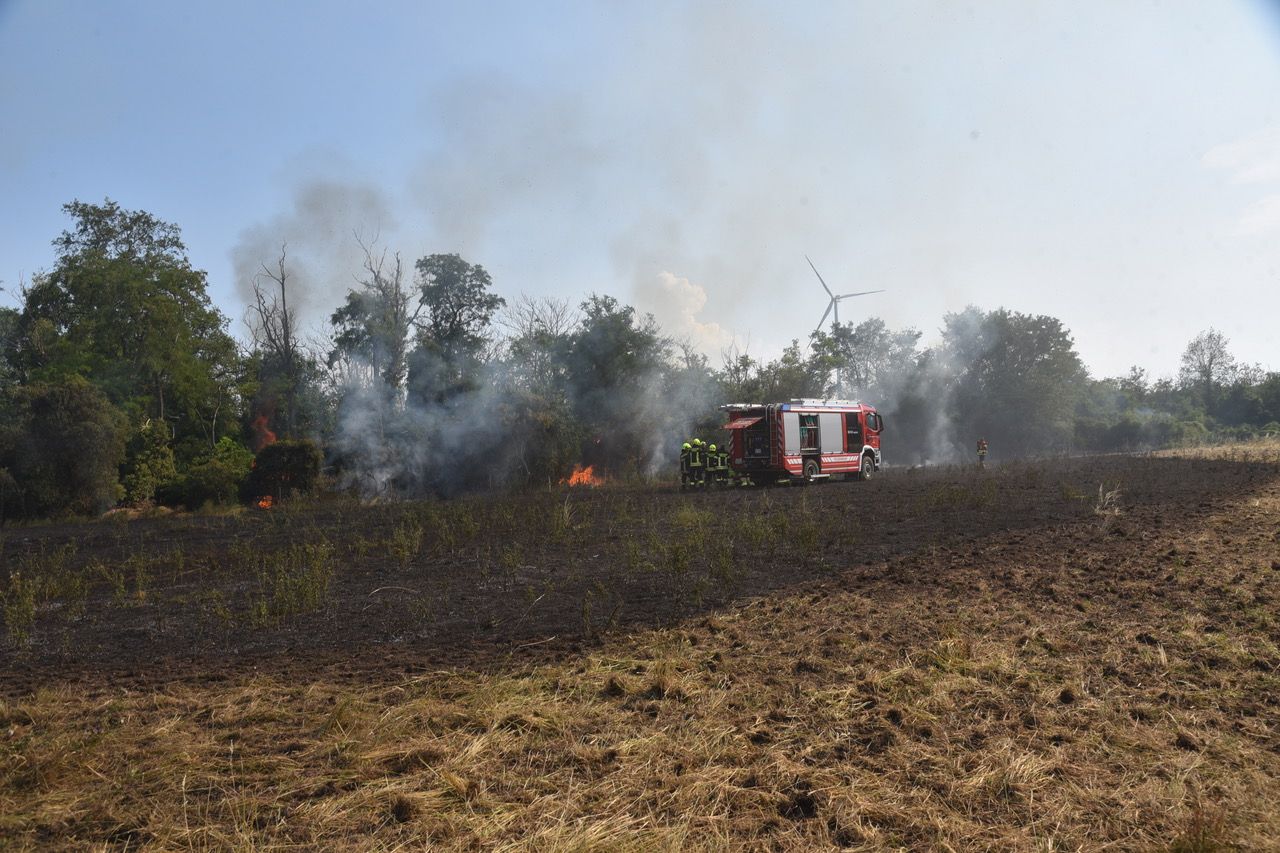 Flur- und Waldbrand fordert Großeinsatz der Feuerwehr﻿