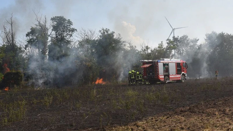 Heute.at - Flurbrand in NÖ – Feuerwehr im Großeinsatz
