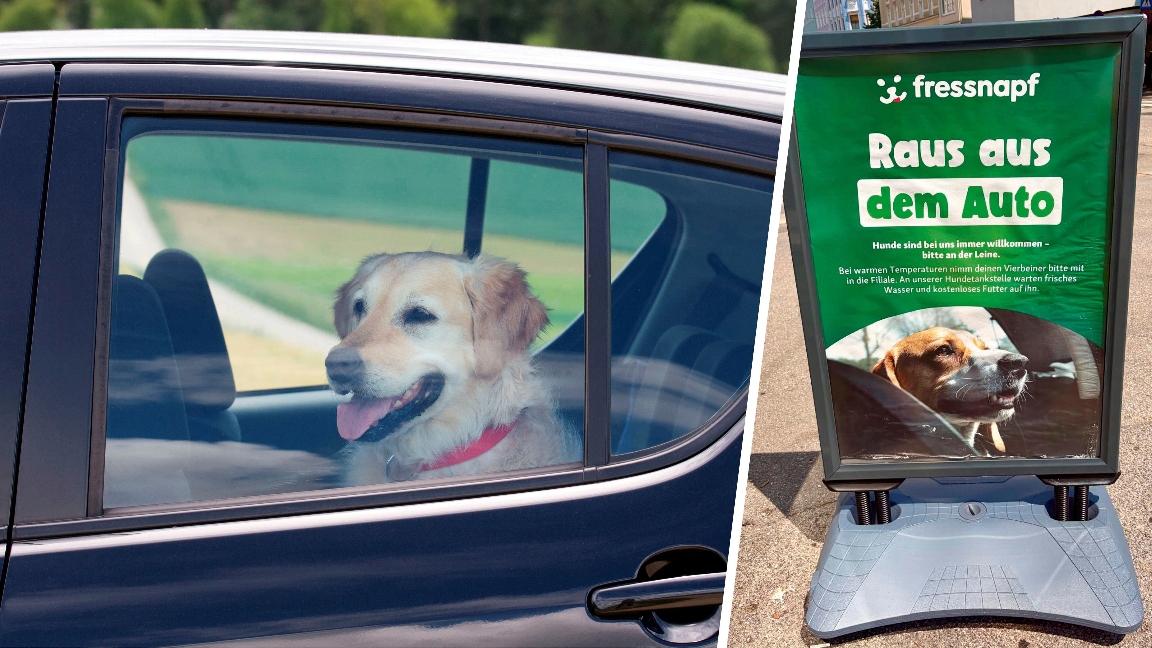 Autos können jetzt zur lebensgefährlichen Falle für Hunde werden. Darauf macht auch Fressnapf aufmerksam.