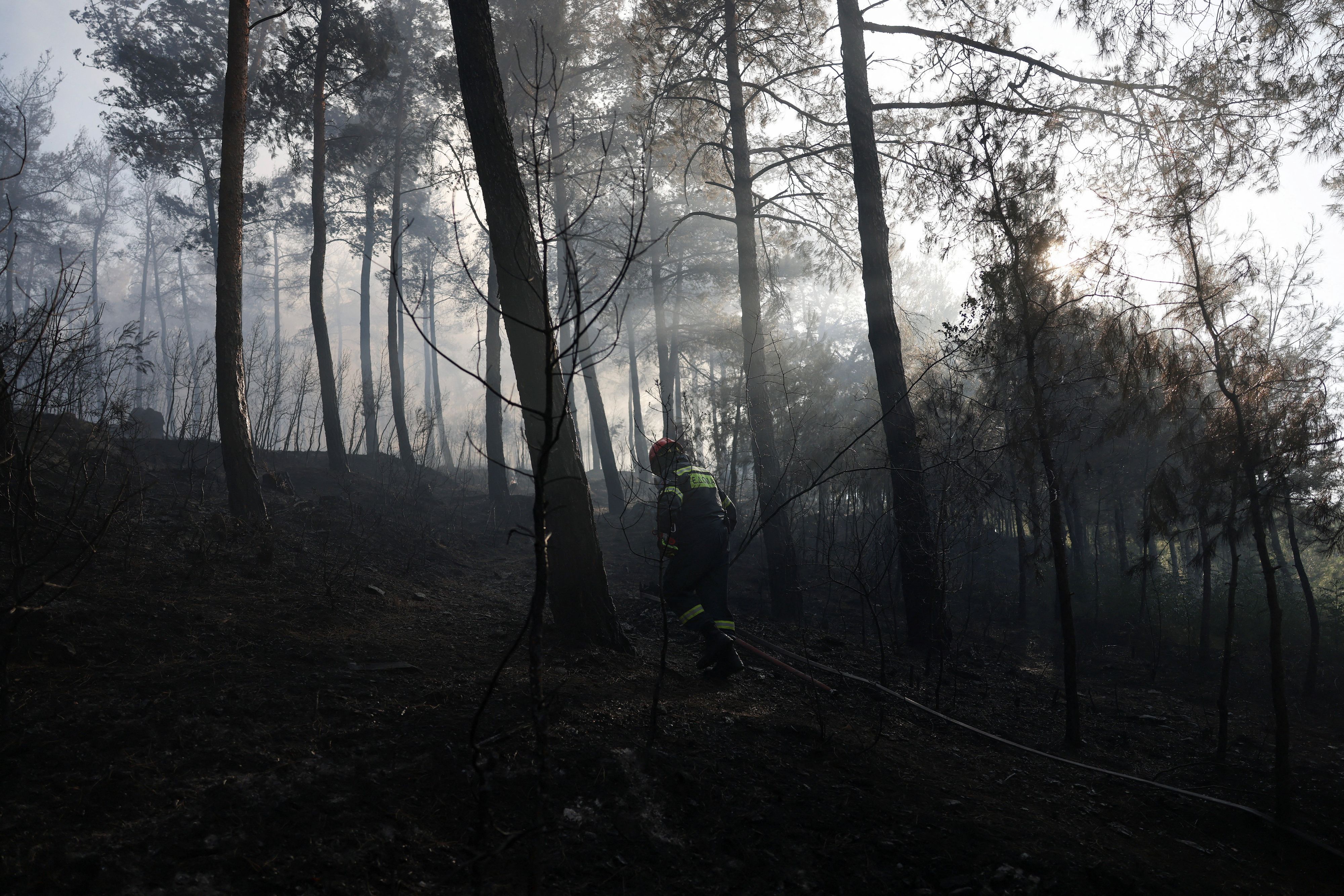 Tote und Verletzte gibt es nach einem Waldbrand in Griechenland.