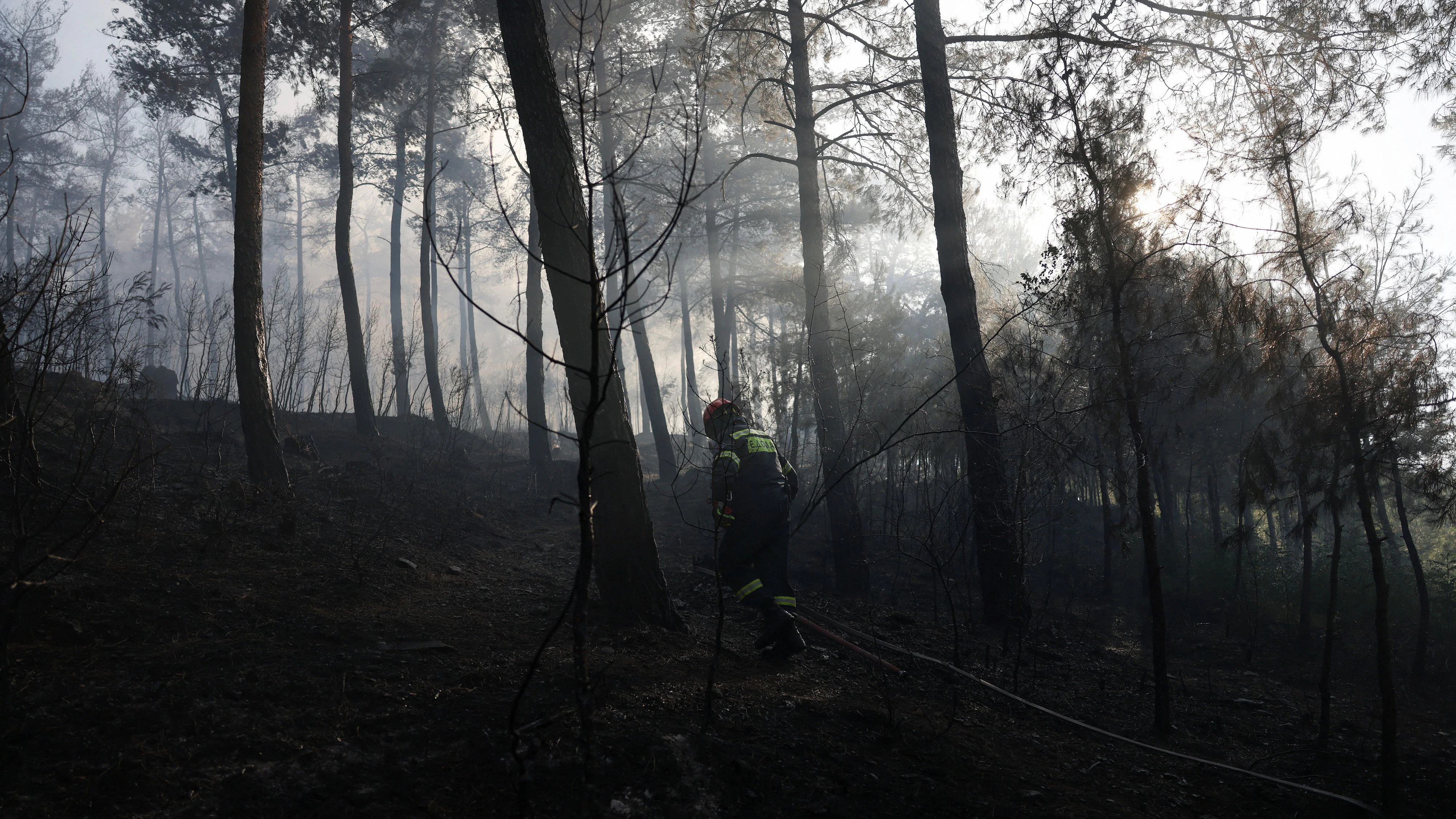 Heute.at - Inferno – 2 Tote durch Waldbrand bei Thessaloniki