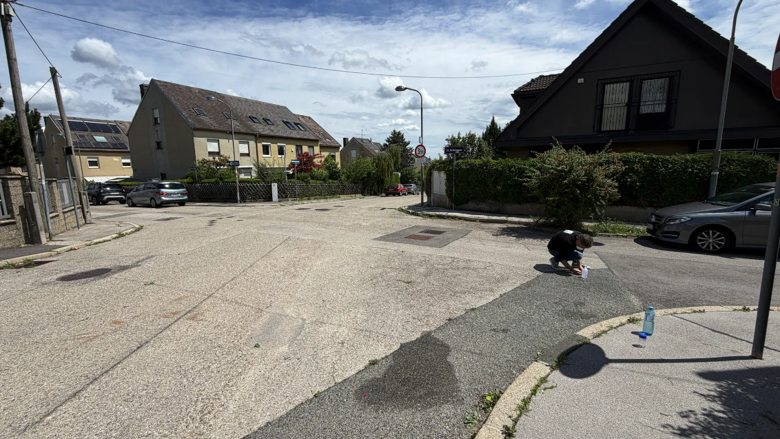 Die Asbestfunde von Greenpeace werden nun von der Stadt geprüft.