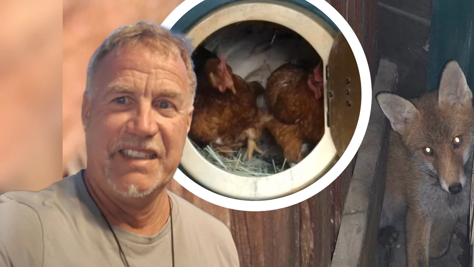 Gerald Depaoli schilderte die Fuchsrettung auf Facebook, das Posting ging viral
