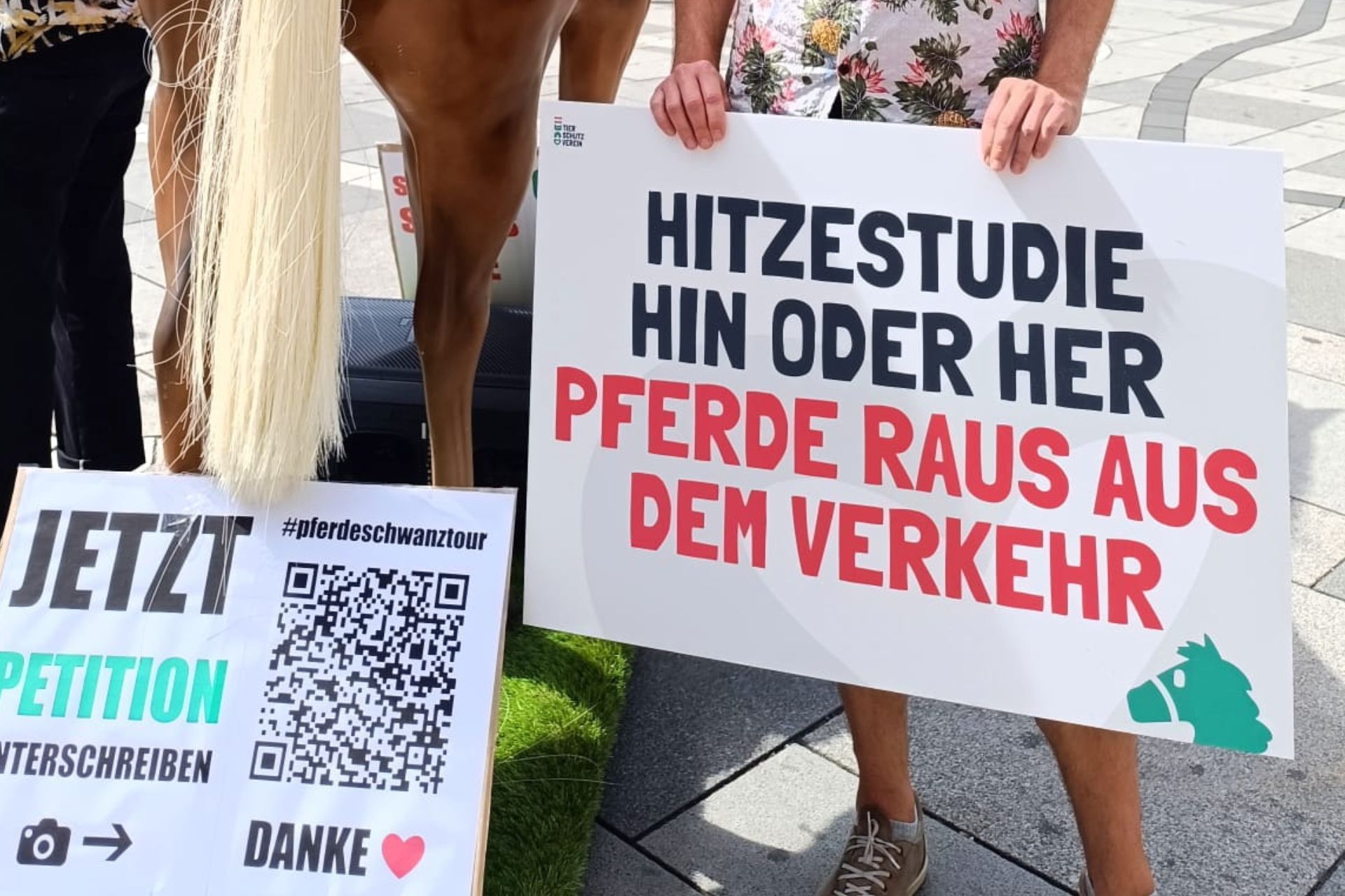 Die Debatte ist bereits jahrelang am Kochen und viele fragen sich, wie lange es wohl noch dauert, bis Fiakerpferde endlich aus dem Wiener Straßenverkehr erlöst werden.