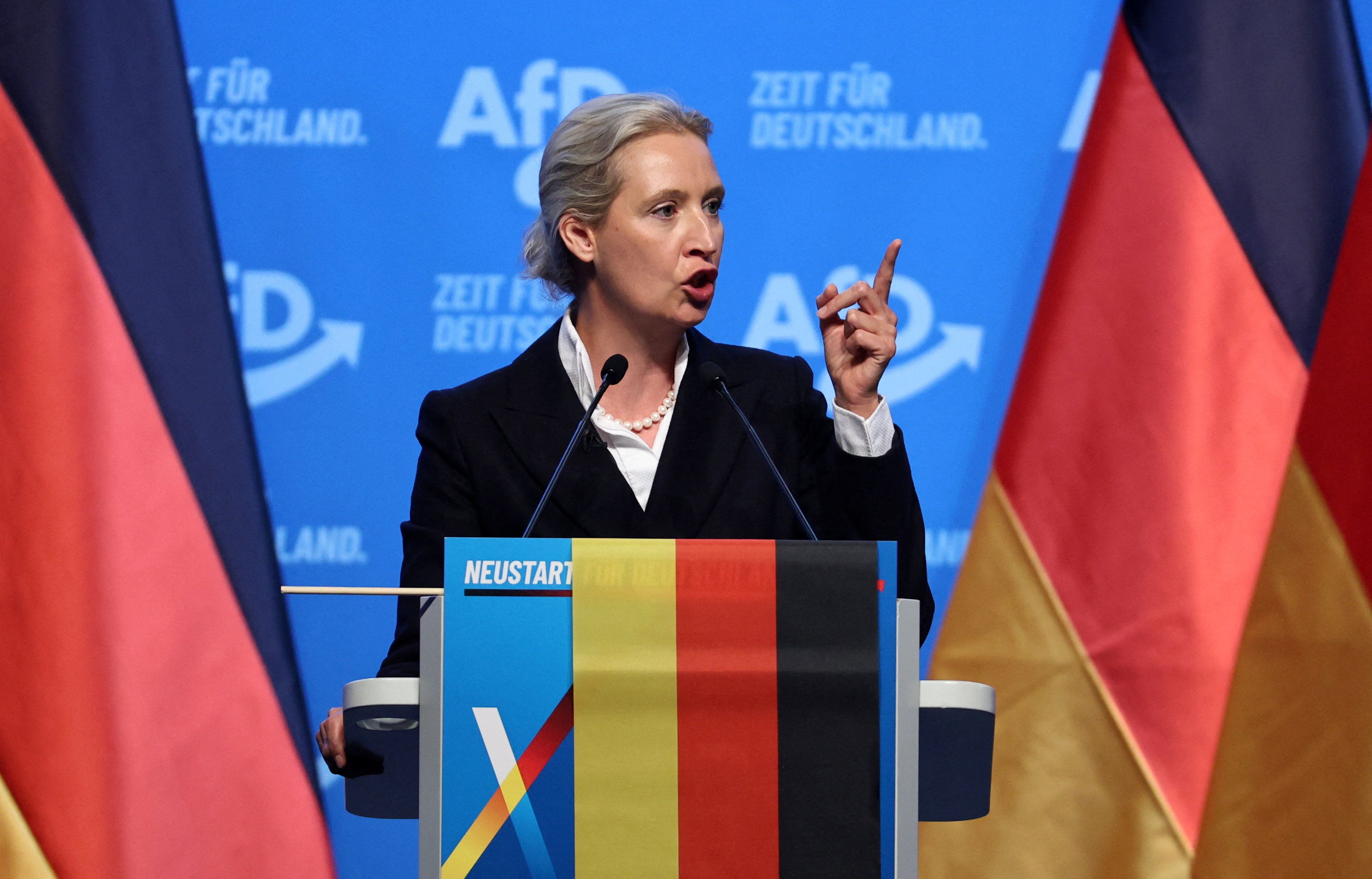 <strong>Alice Weidel</strong> (AfD) erhielt 81,3 Prozent der Stimmen.