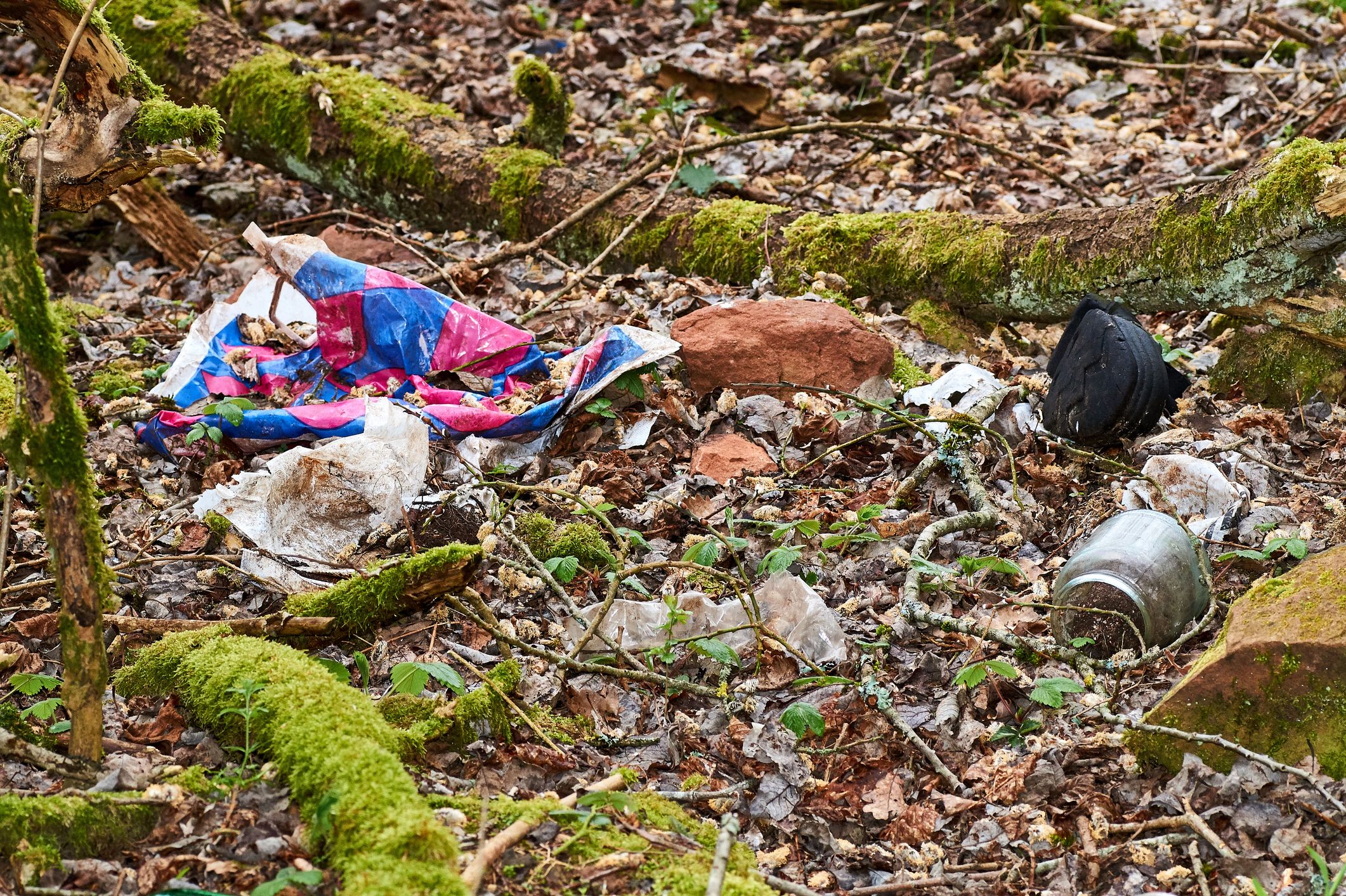 Immer mehr Müllsäcke mit Nudelresten werden in Kärnten gefunden (Symbolbild).