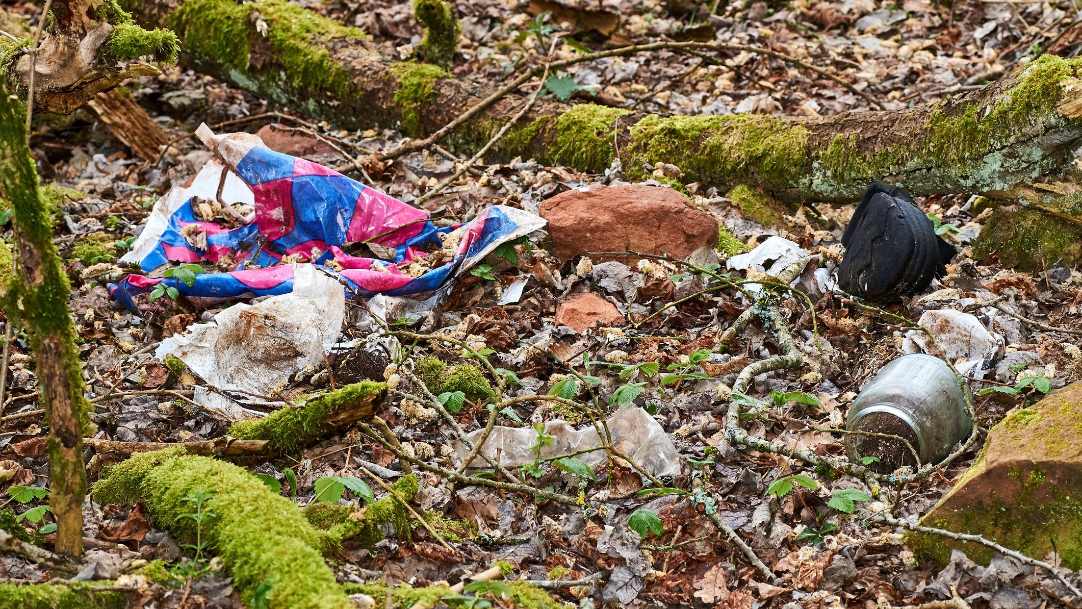 Immer mehr Müllsäcke mit Nudelresten werden in Kärnten gefunden (Symbolbild).