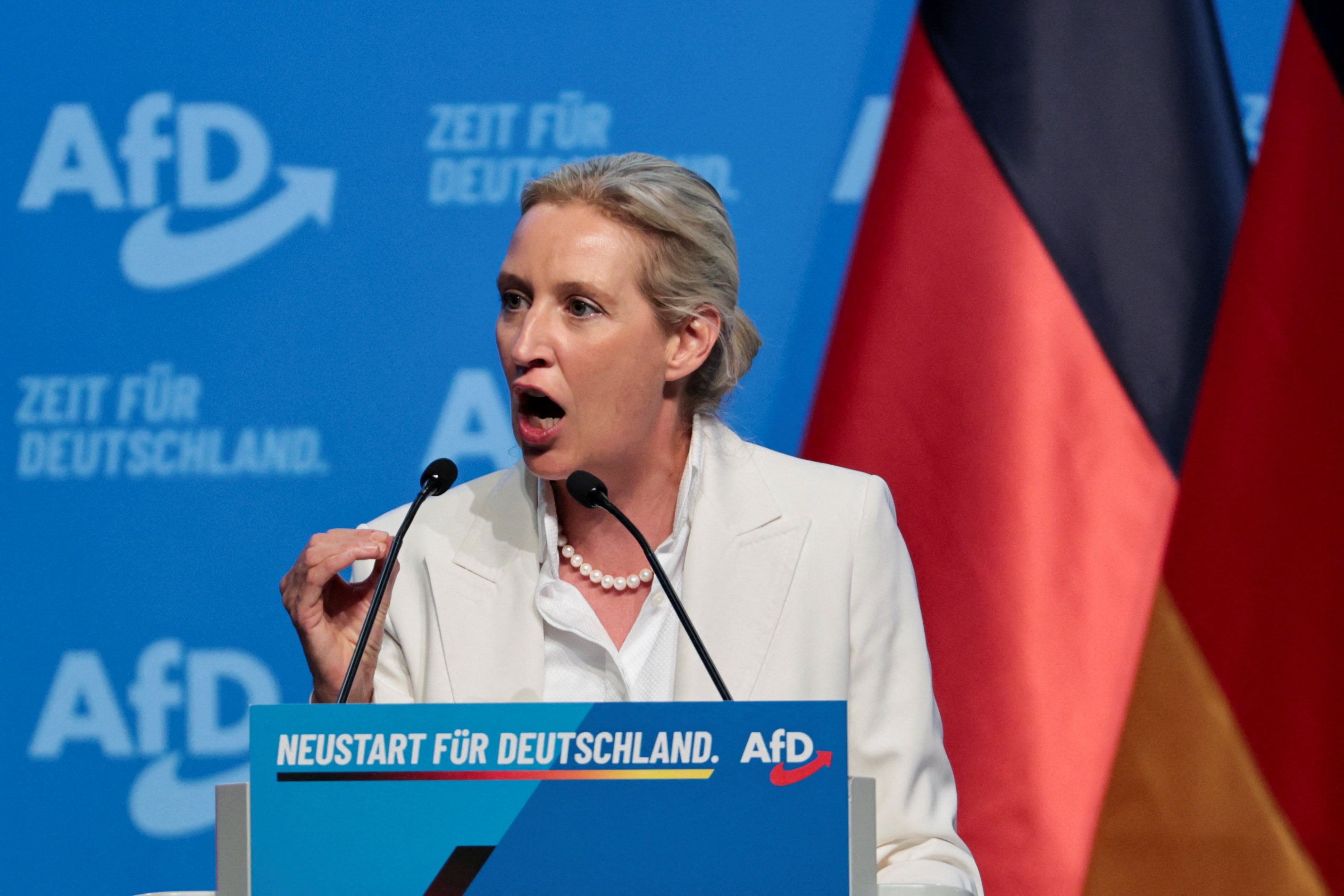 Alice Weidel zieht gemeinsam mit ihrer Lebensgefährtin zwei Kinder groß.﻿