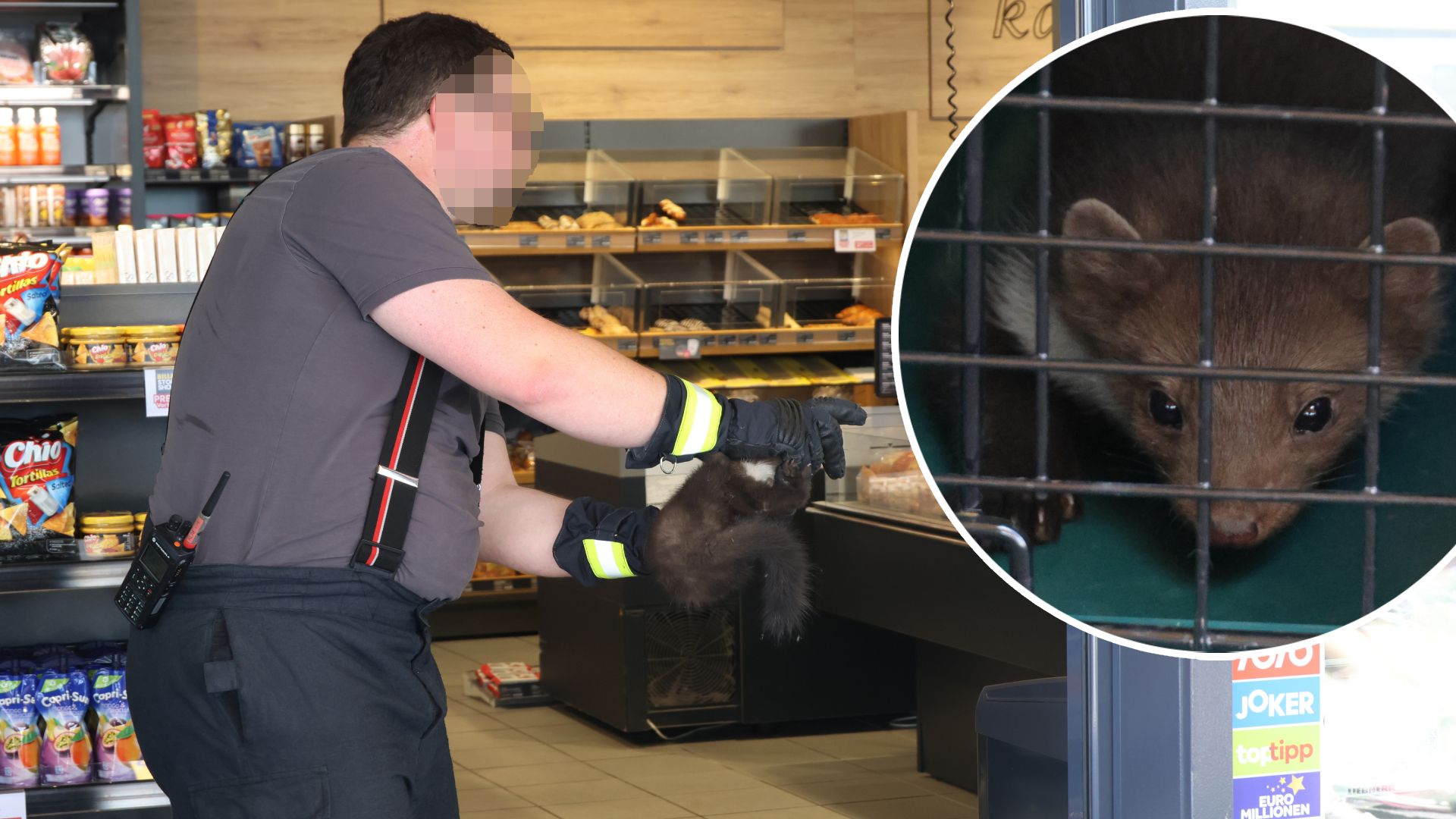 Der kleine Marder wurde von der Feuerwehr gerettet.