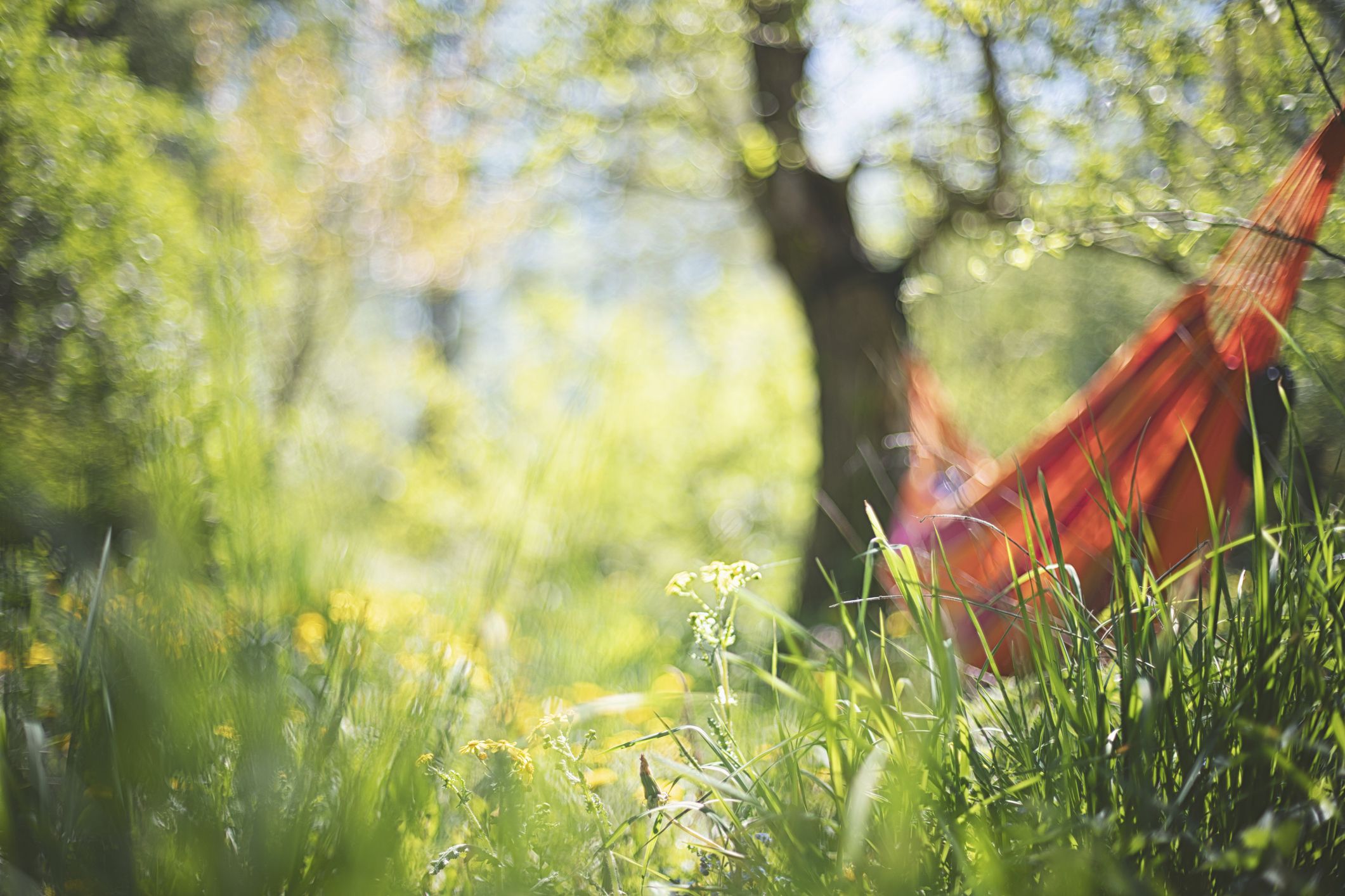 Mit der richtigen Planung und ein paar cleveren Kniffen lässt sich der Pflegeaufwand im Garten deutlich reduzieren.