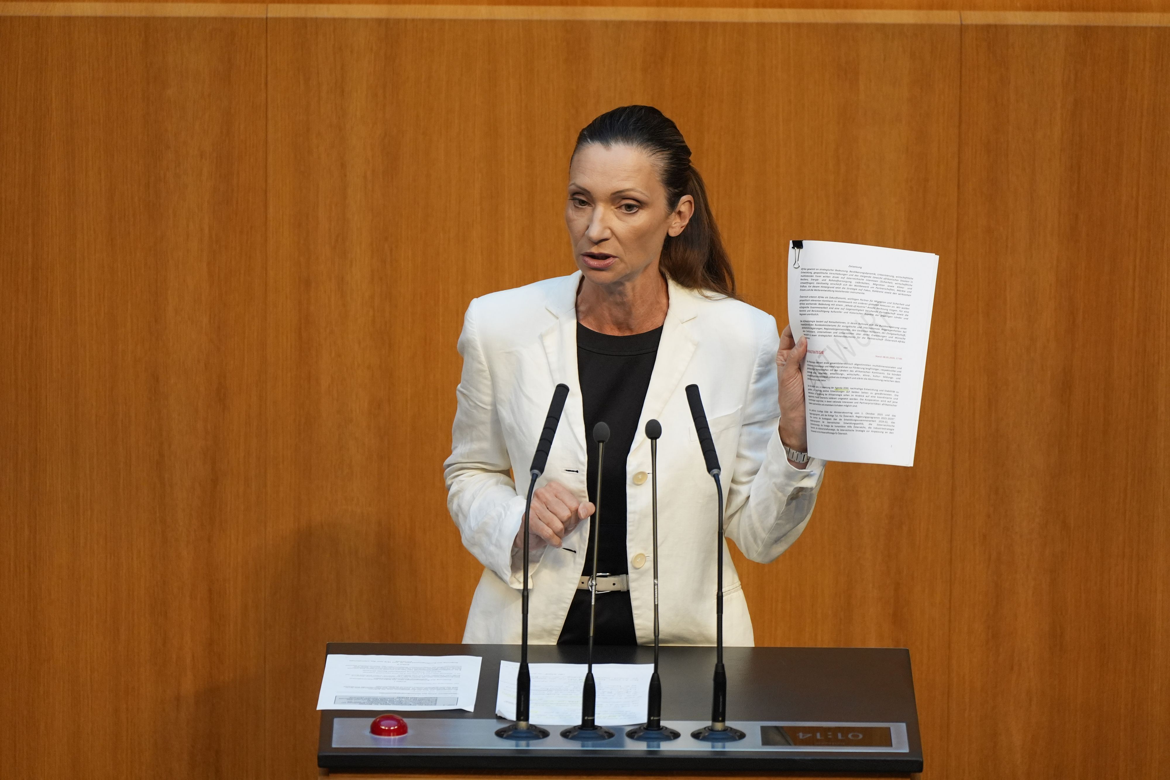 FPÖ-Außenpolitiksprecherin Susanne Fürst kritisierte die Afrika-Strategie.