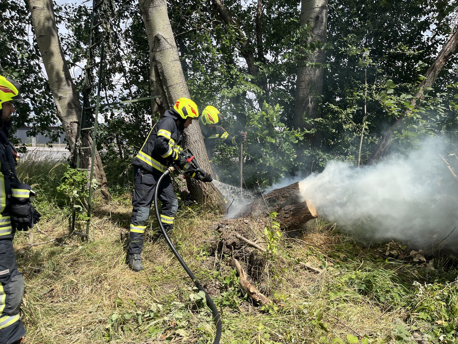In Waidhofen an der Thaya fing ein Baumstumpf Feuer. Die Feuerwehr konnte eine Ausbreitung auf den Wald verhindern.