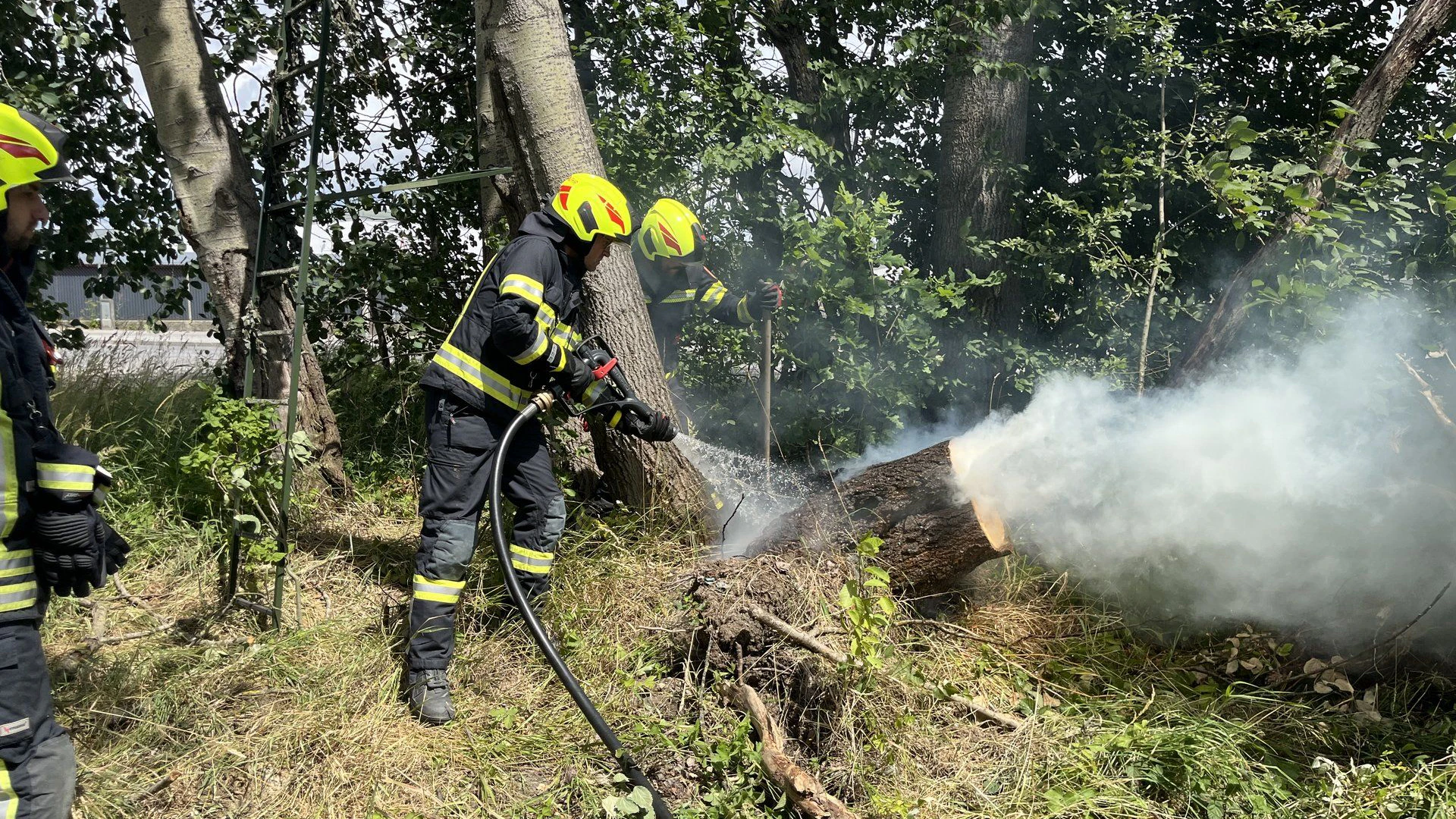 Heute.at - Baumstumpf brennt – Feuerwehr verhindert Waldbrand