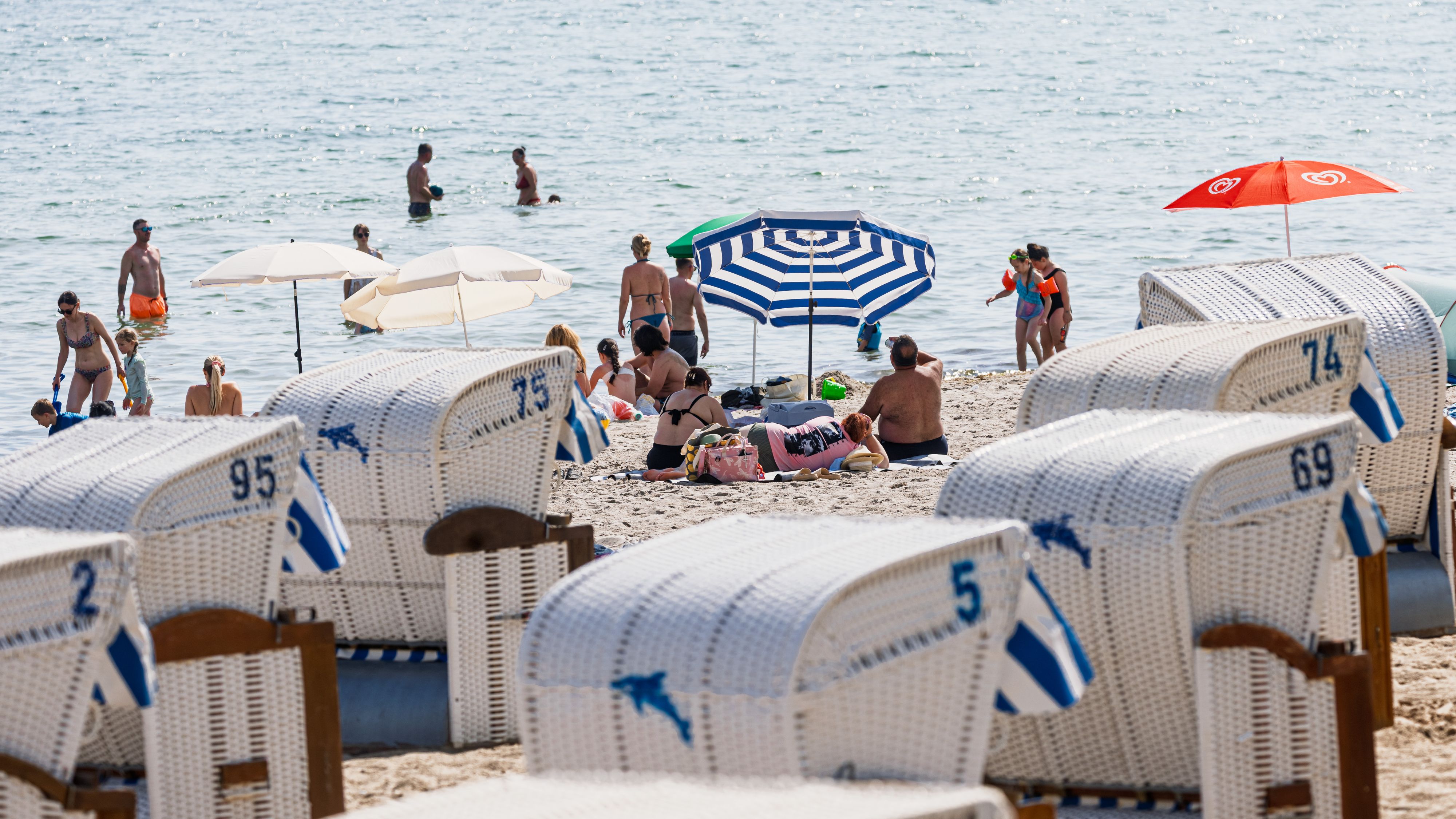 Wer größere oder frische Wunden hat, sollte derzeit besser nicht in der Ostsee baden.