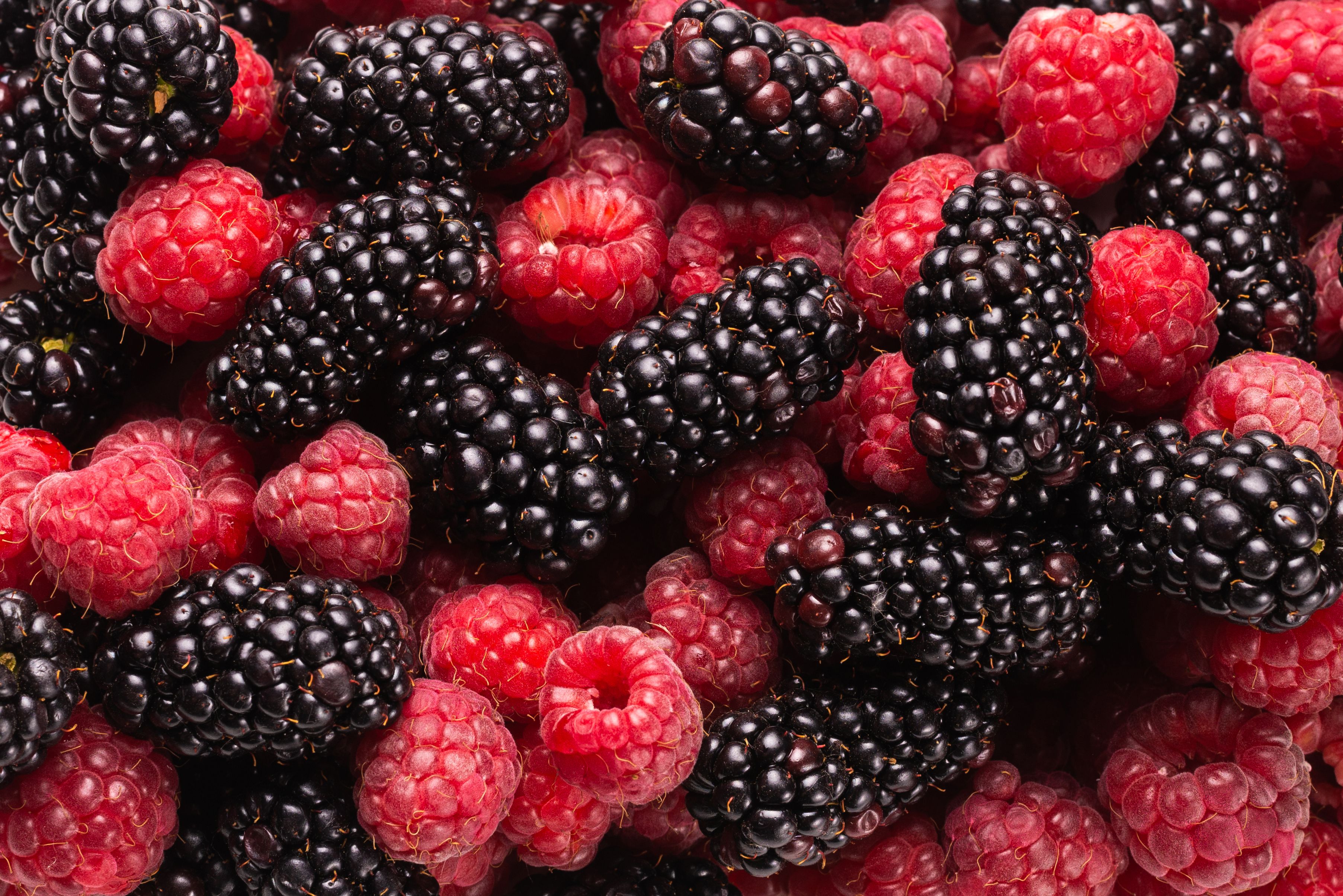 Himbeeren und Brombeeren zählen zu den gesündesten Früchten überhaupt.