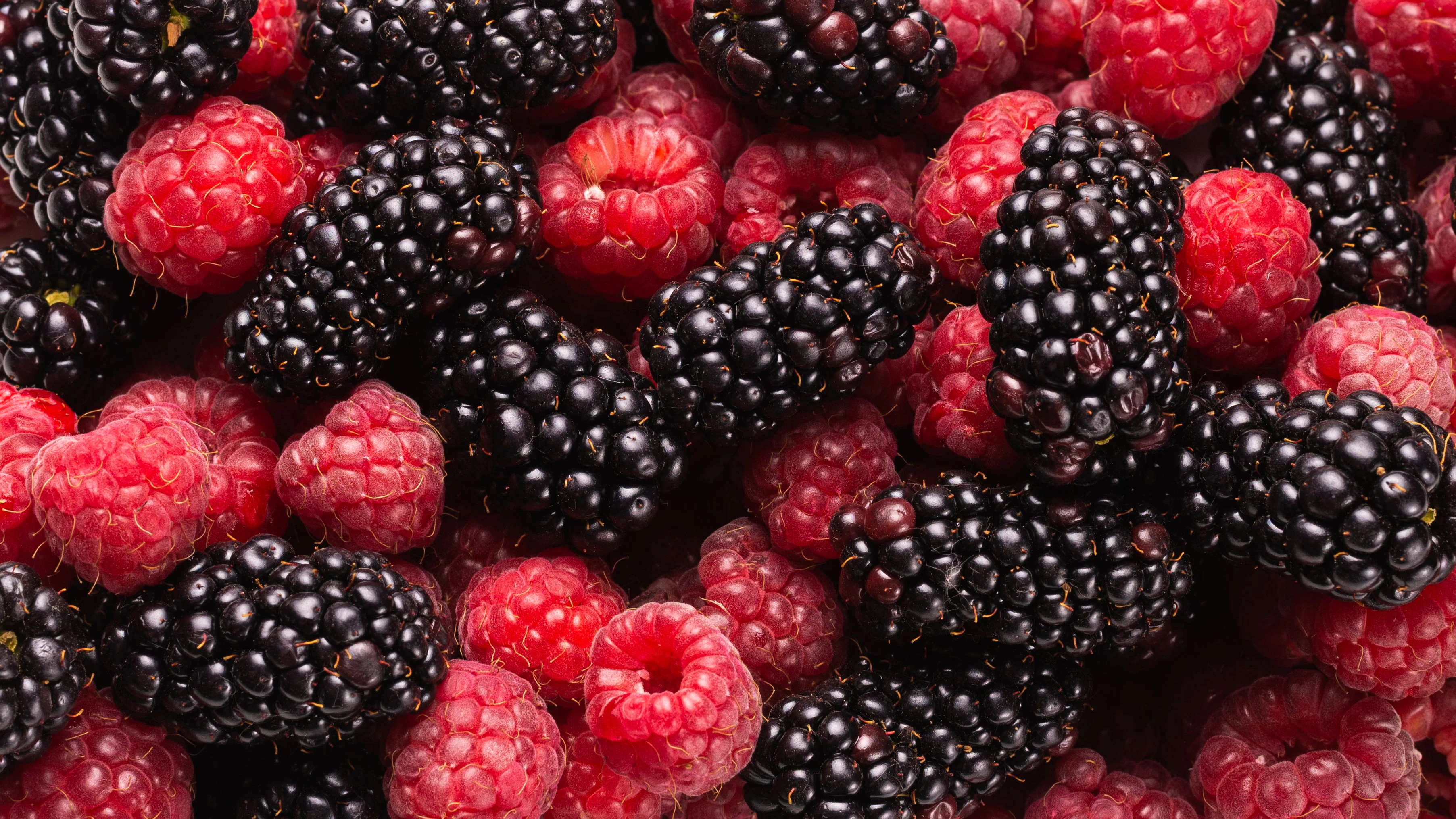 Himbeeren & Brombeeren