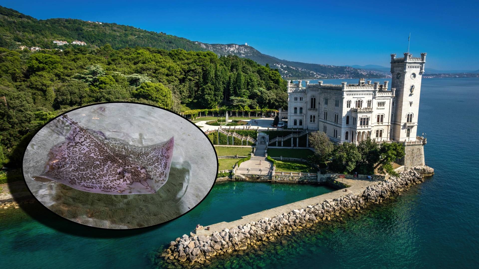 Die Adria rund um das Schloss Miramare ist seit 1986 Meeresschutzgebiet.