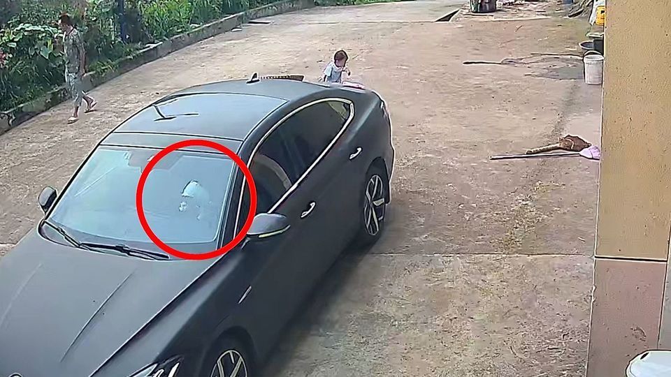 Die Katze machte Passanten auf ganz besondere Weise auf sich aufmerksam.